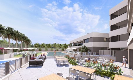 Bungalow - Obra nueva - ﻿Torrevieja (Alicante) - Spain