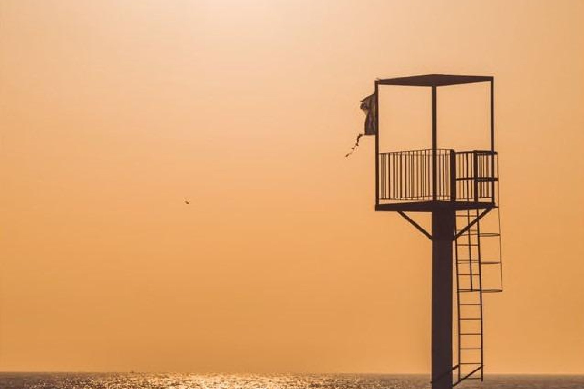 Nauja statyba - Butas / butas - Almerimar