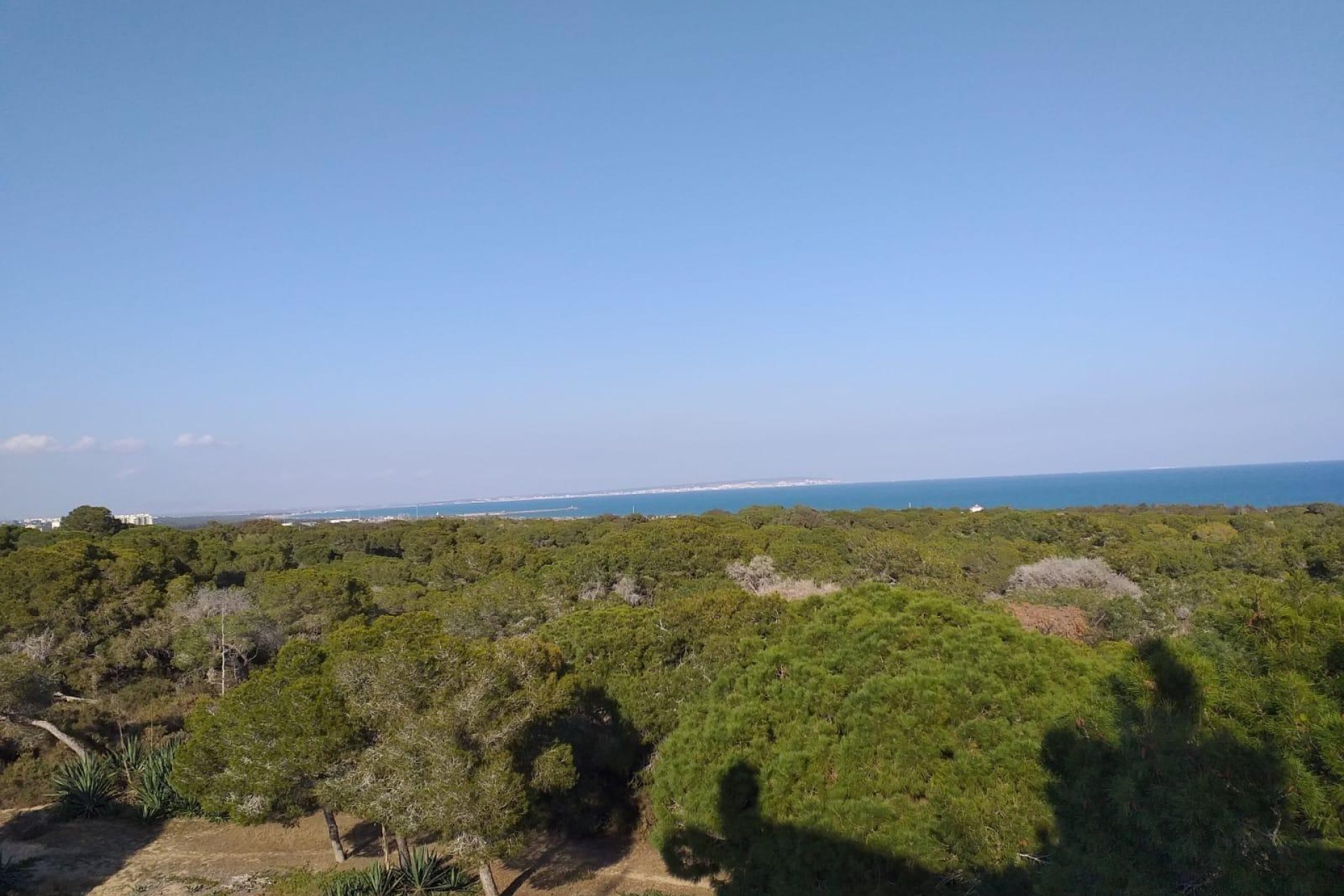 Nauja statyba - Butas / butas - Guardamar del Segura