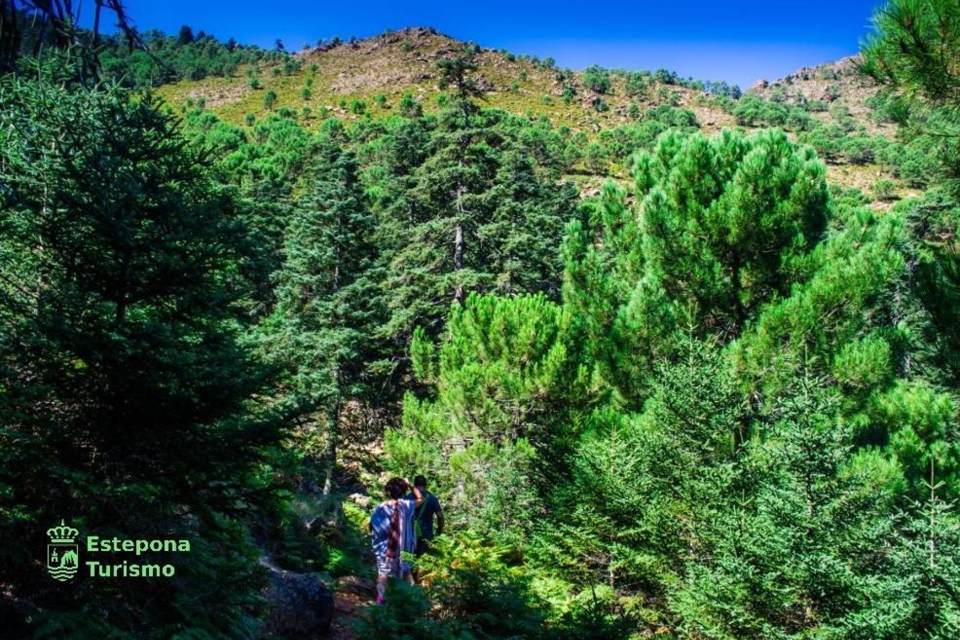 Nauja statyba - Butas / butas - 