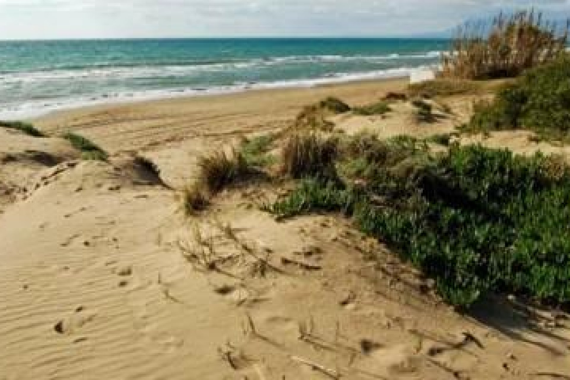 Nauja statyba - Butas / butas - 