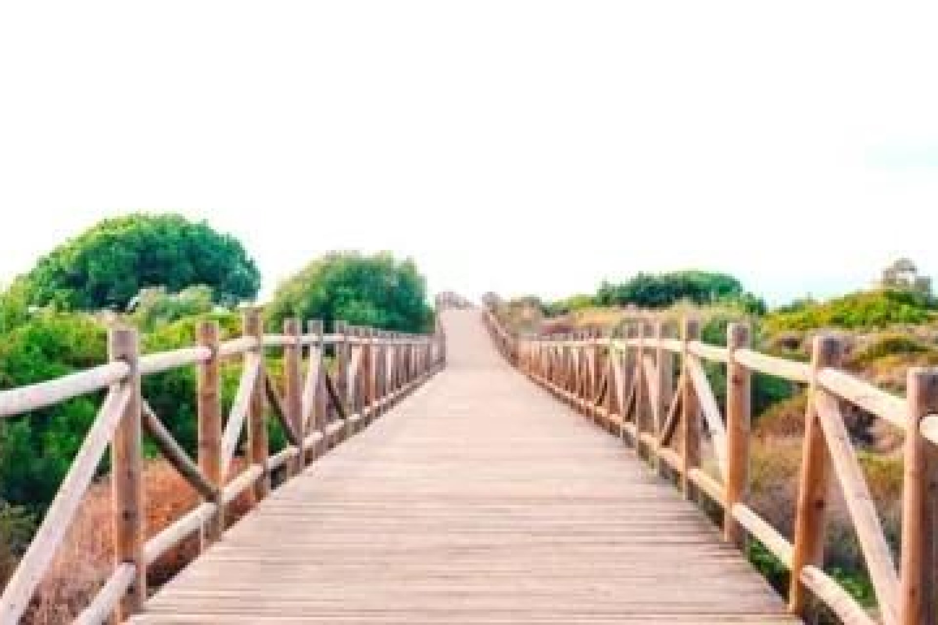 Nauja statyba - Butas / butas - 