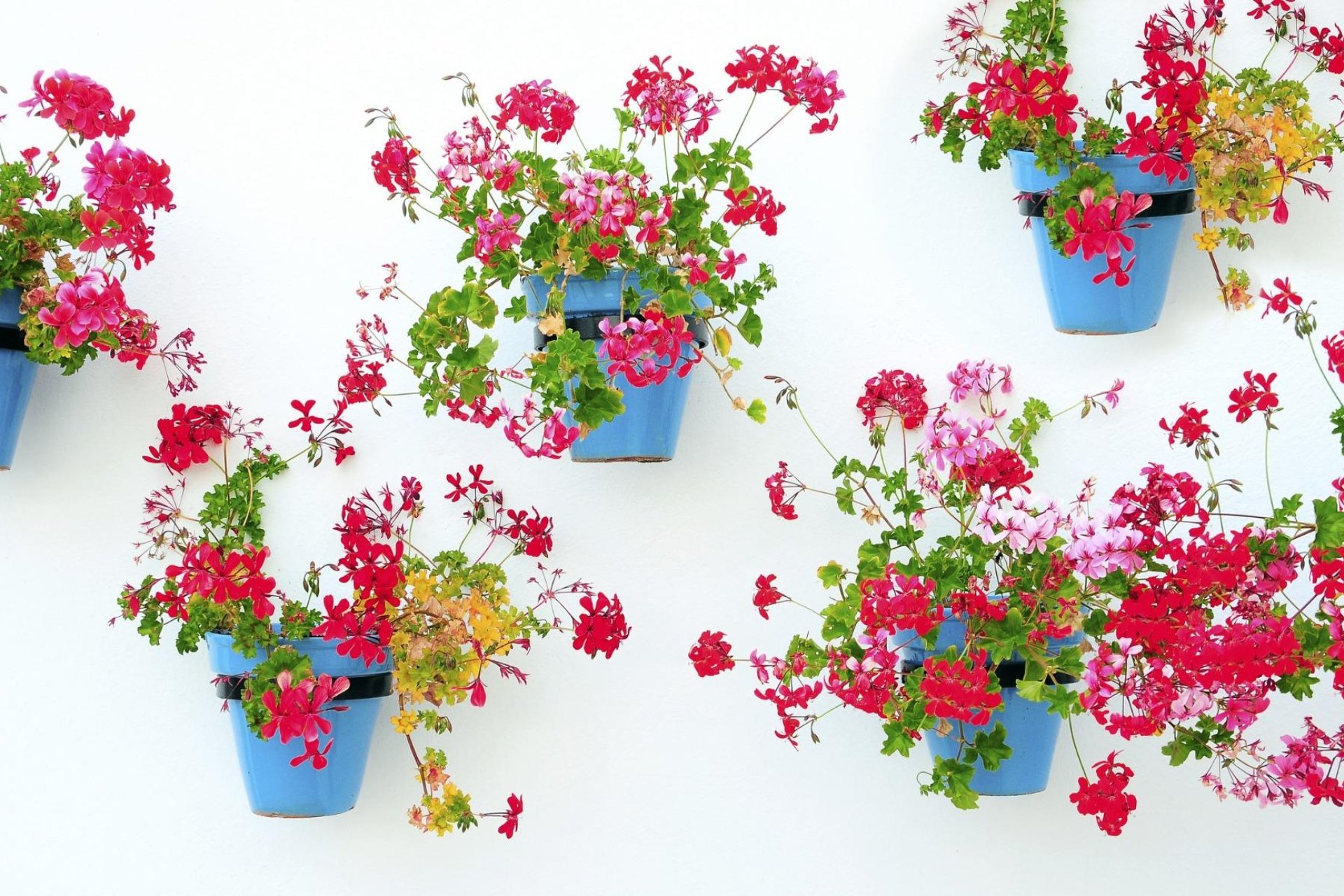 Nauja statyba - Butas / butas - 