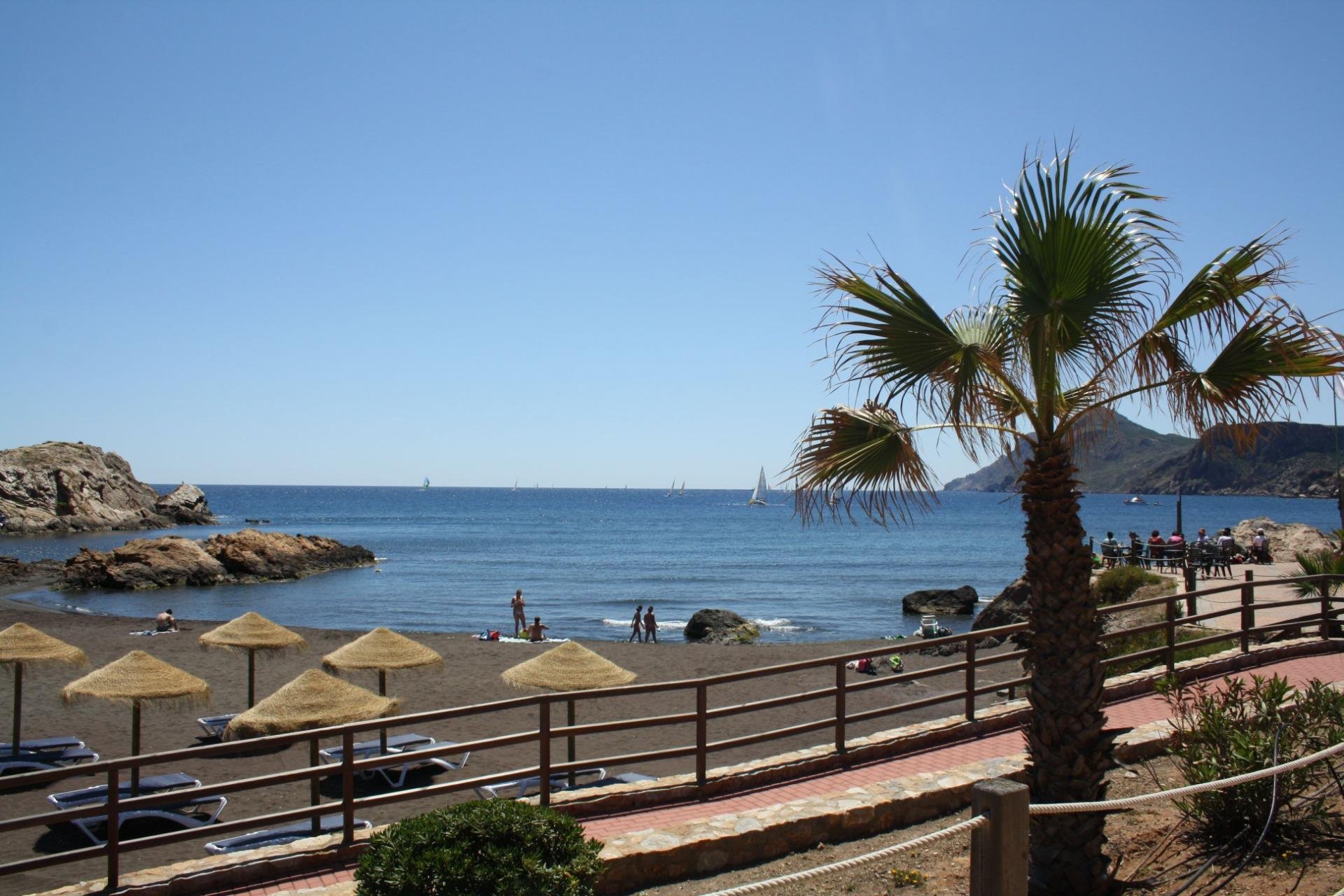 Nauja statyba - Dvibučių namas - 