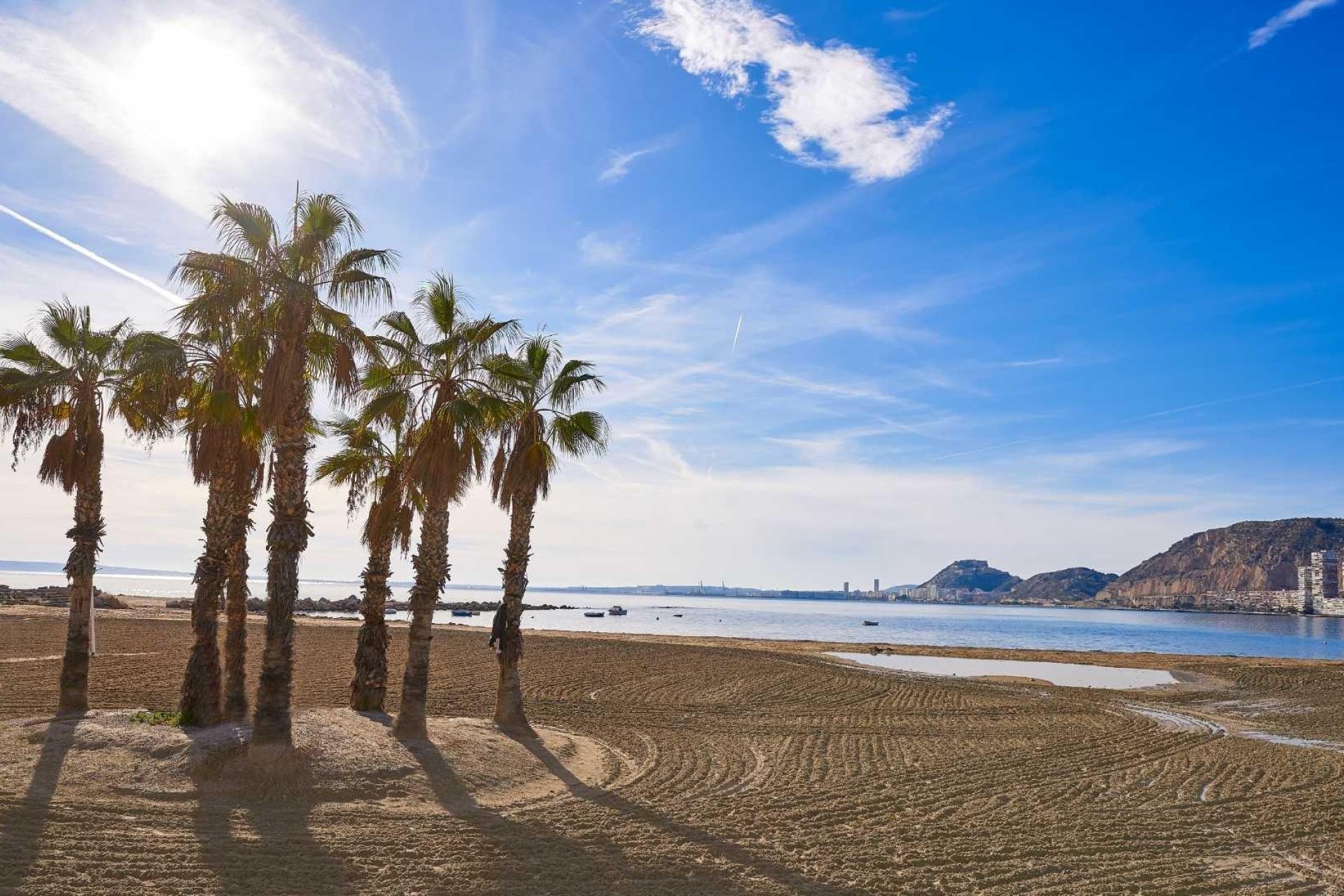 Nauja statyba -  - Els Poblets