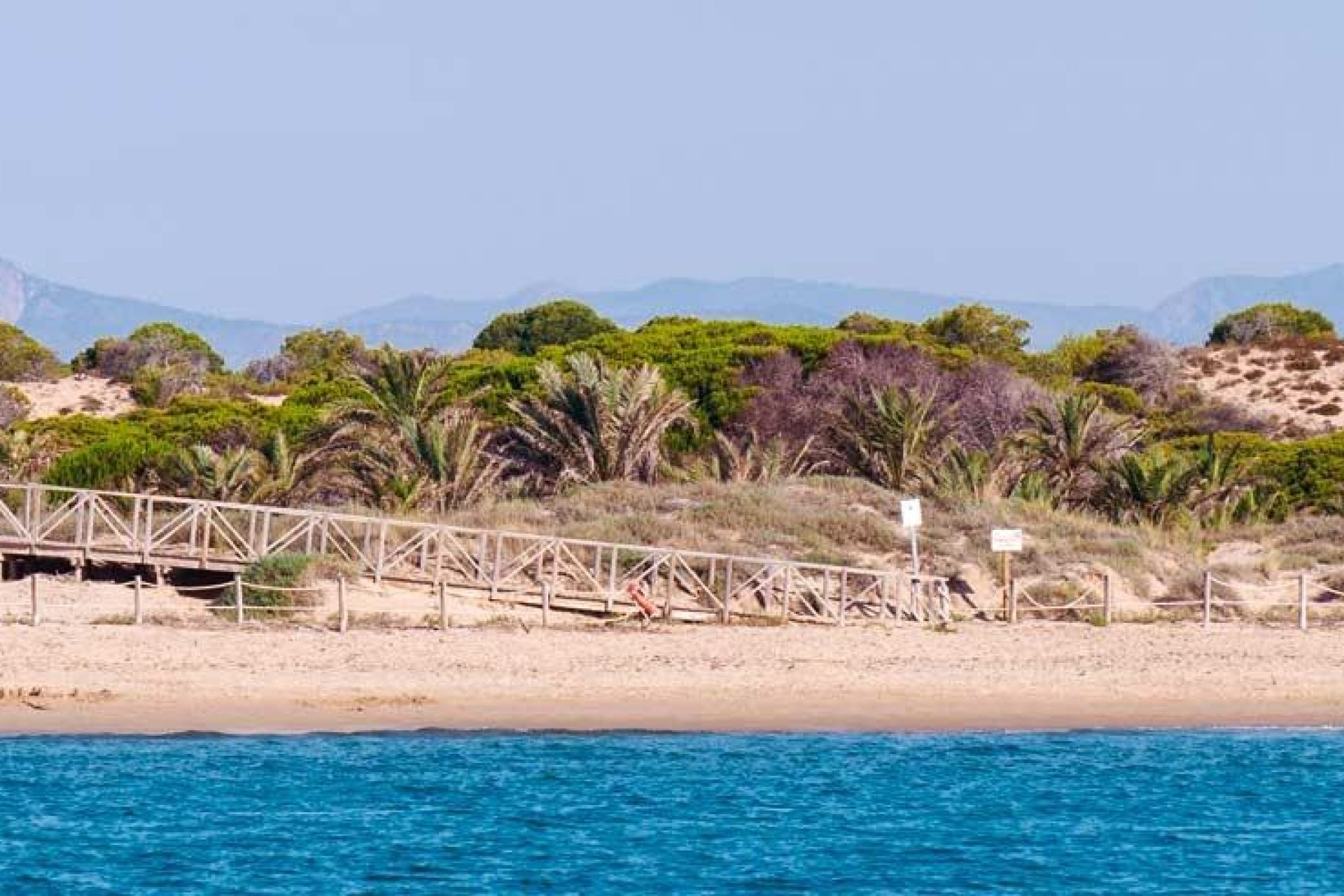 Nauja statyba - Penthausas - Guardamar del Segura