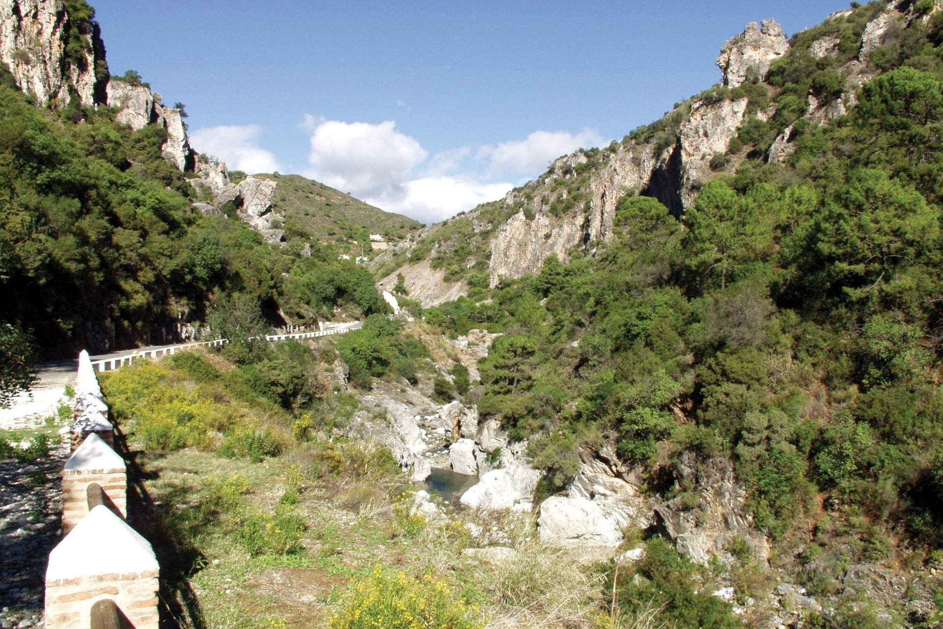 Nauja statyba - Penthausas - 