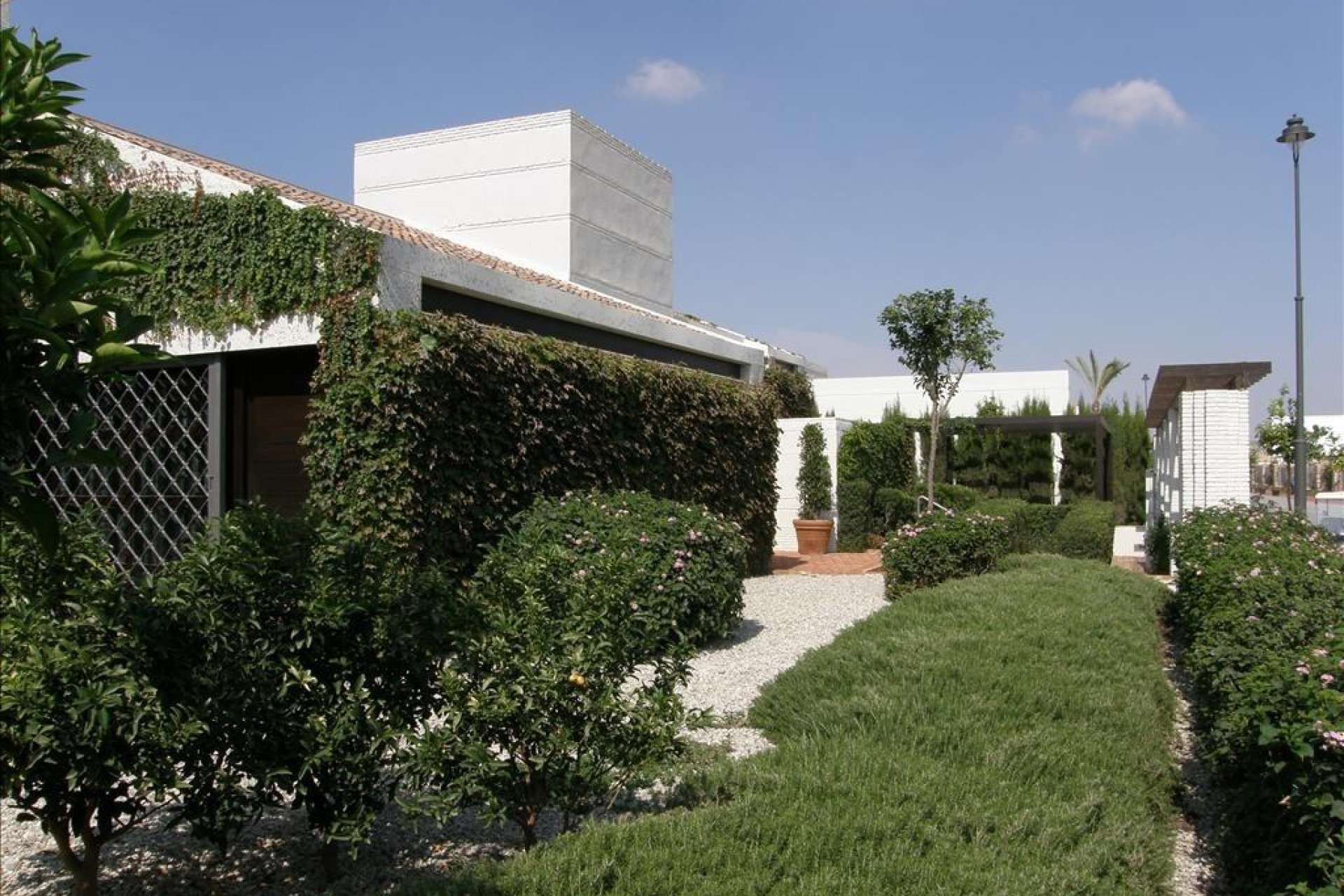 Nauja statyba - Villa - Sucina