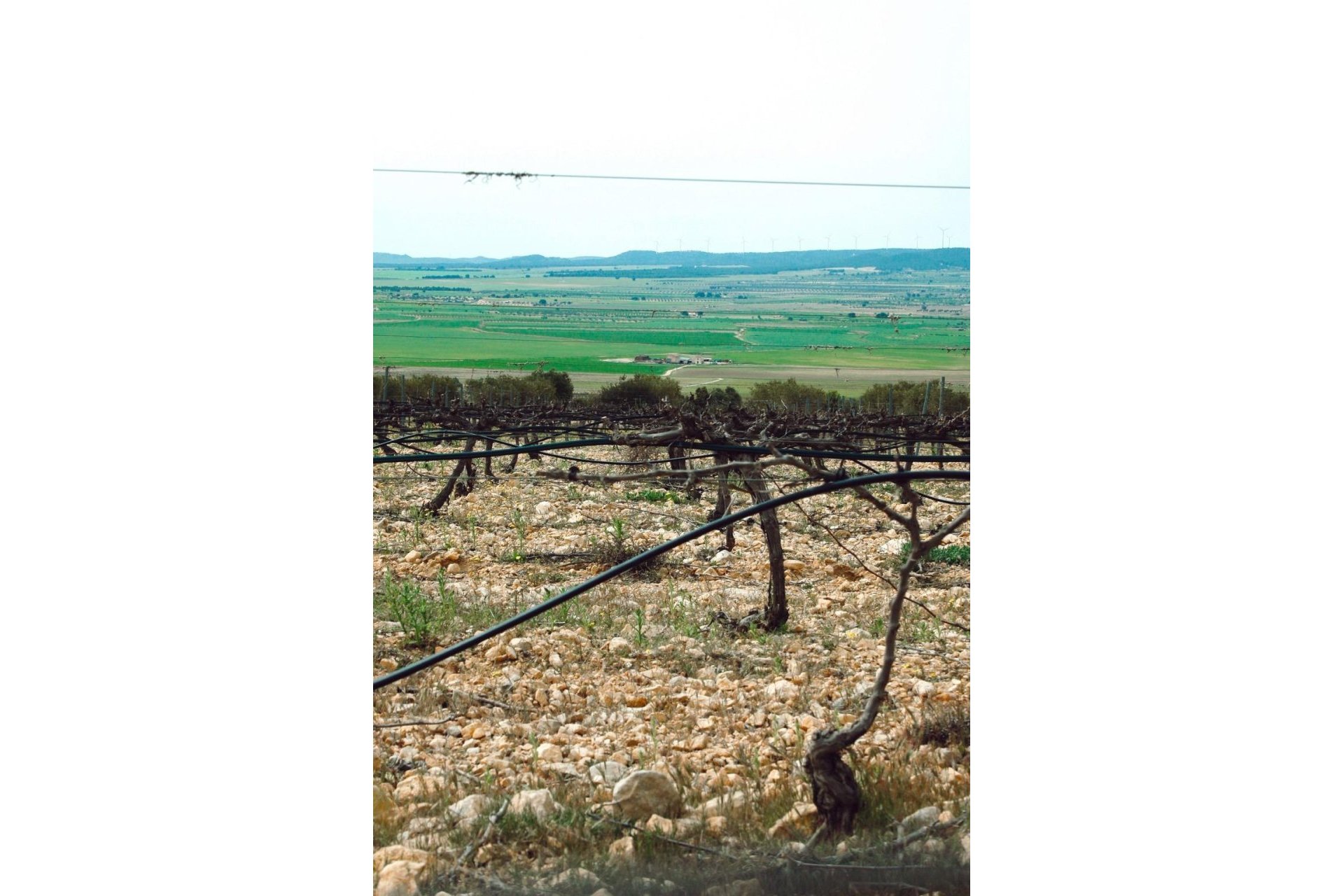 Nauja statyba - Villa - Yecla