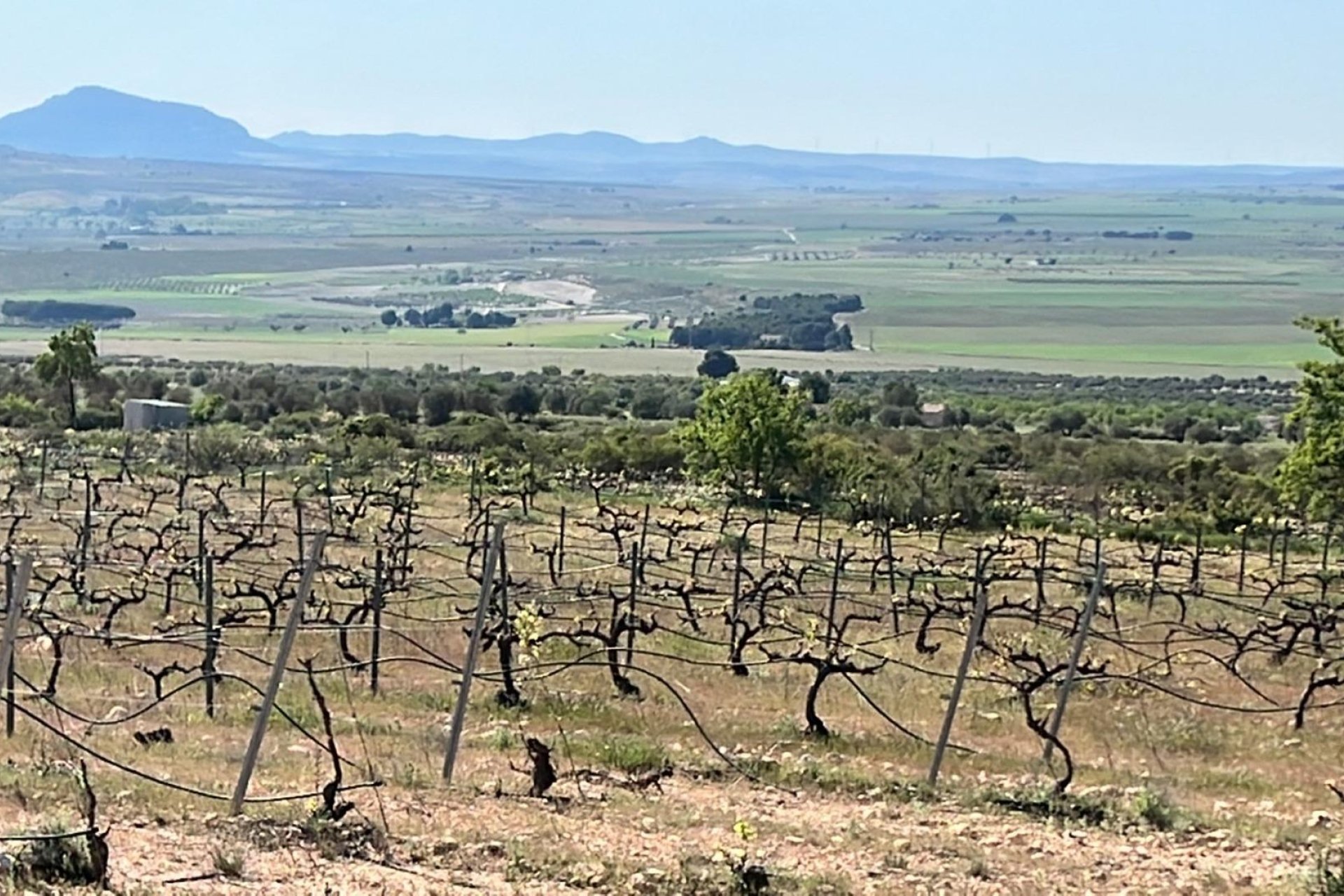 Nauja statyba - Villa - Yecla