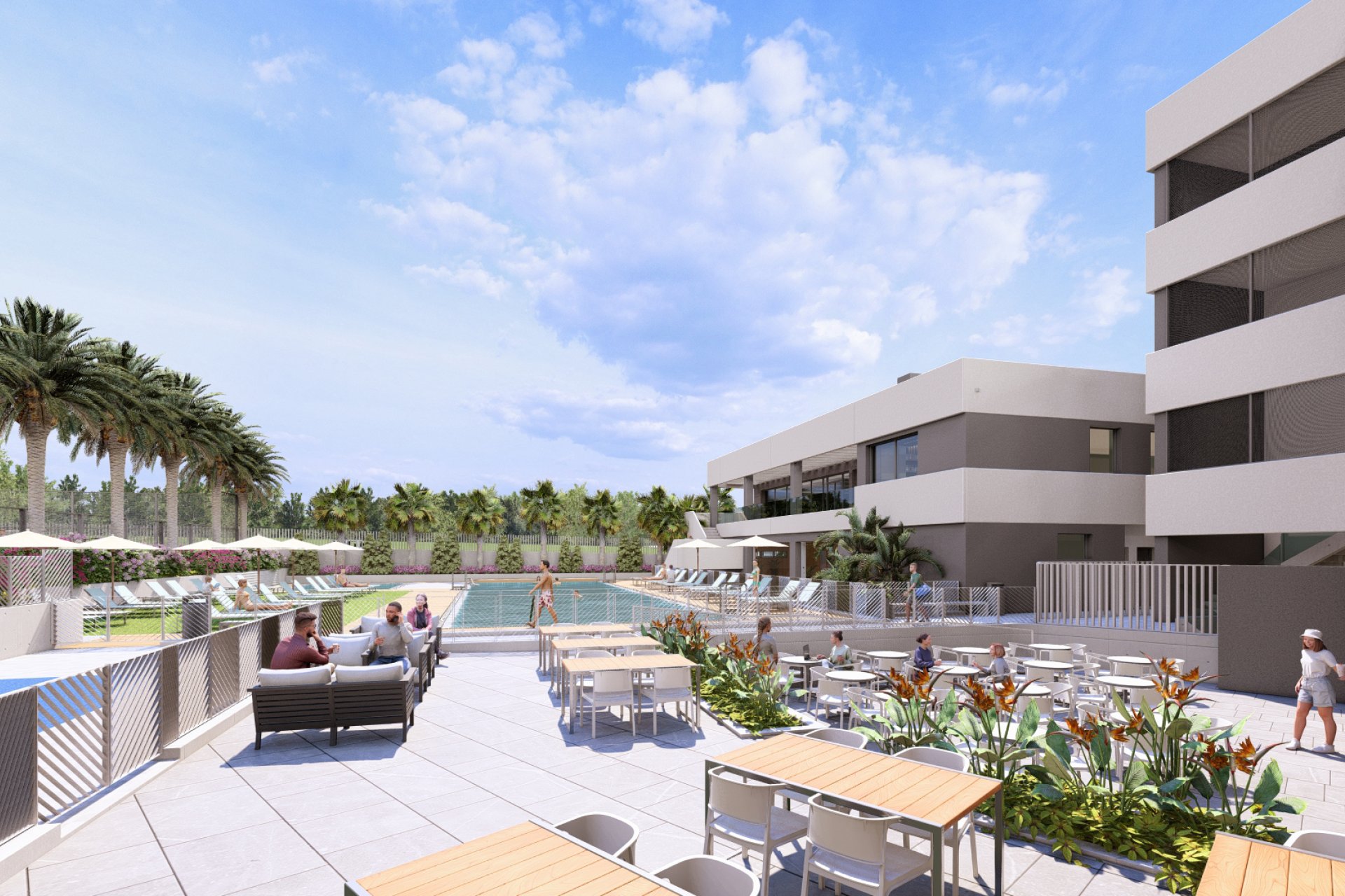 New Build - Apartment / flat - ﻿Torrevieja (Alicante) - Spain