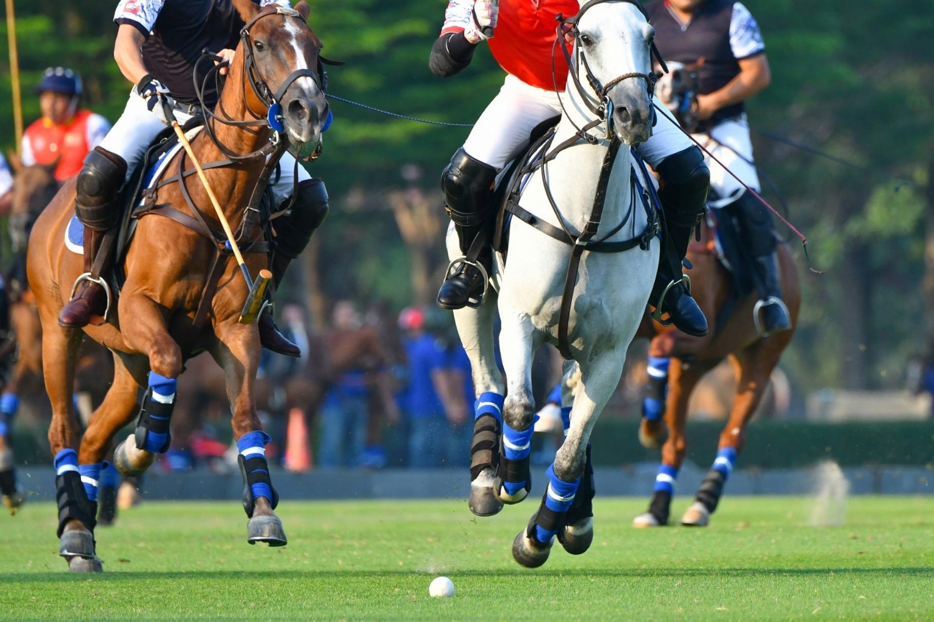 New Build - Apartment / flat - Manilva