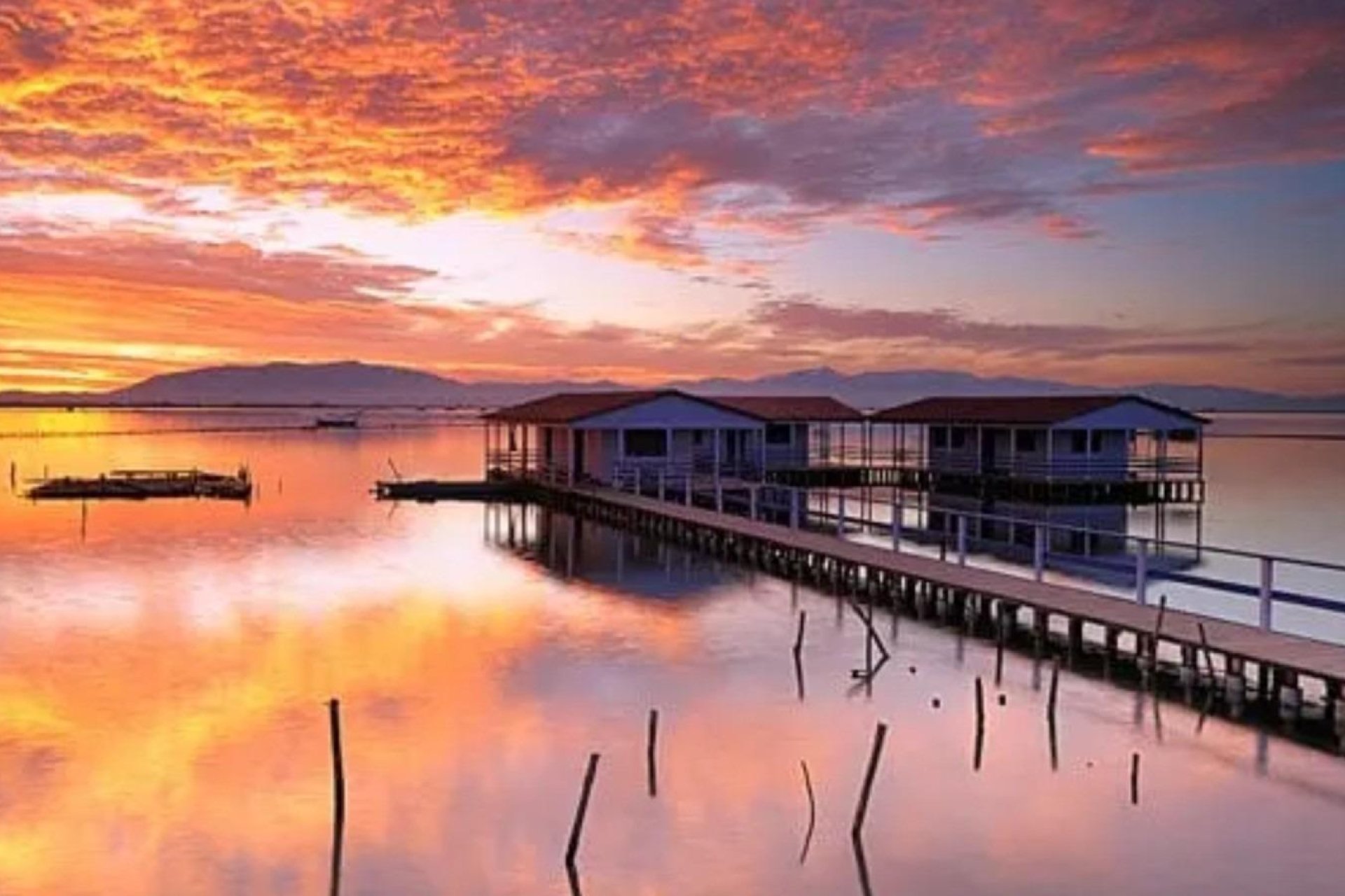 New Build - Bungalow - San Pedro del Pinatar