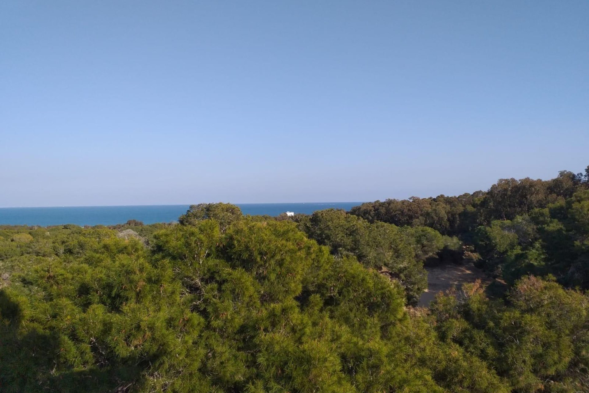 New Build - Penthouse - Guardamar del Segura