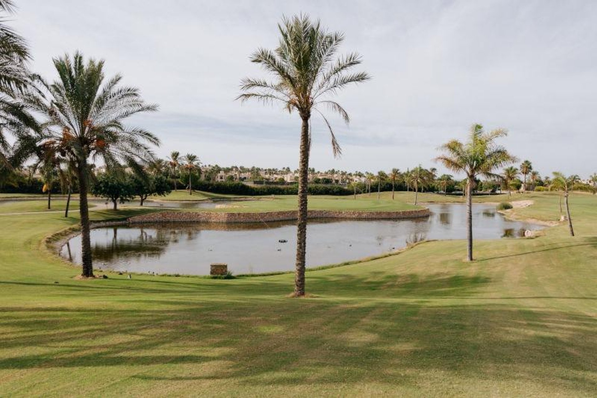 New Build - Semidetached - San Javier