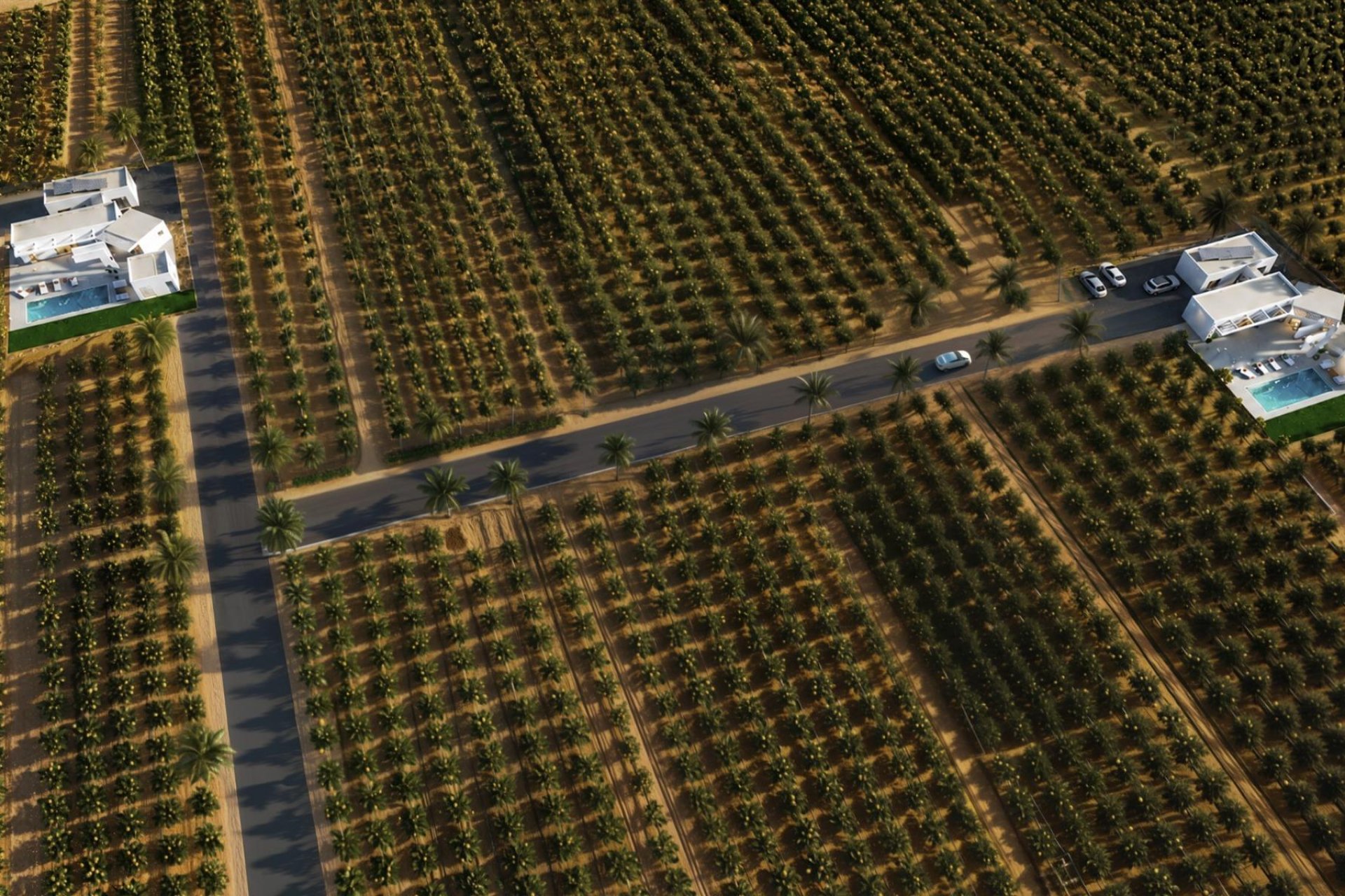 New Build - Villa - Benejúzar