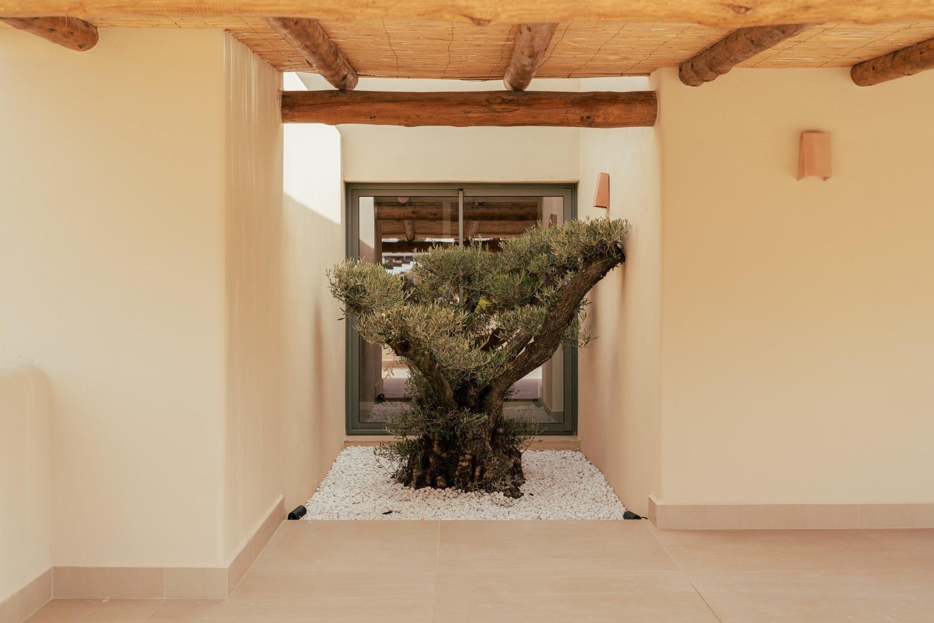 New Build - Villa - Jávea Xàbia