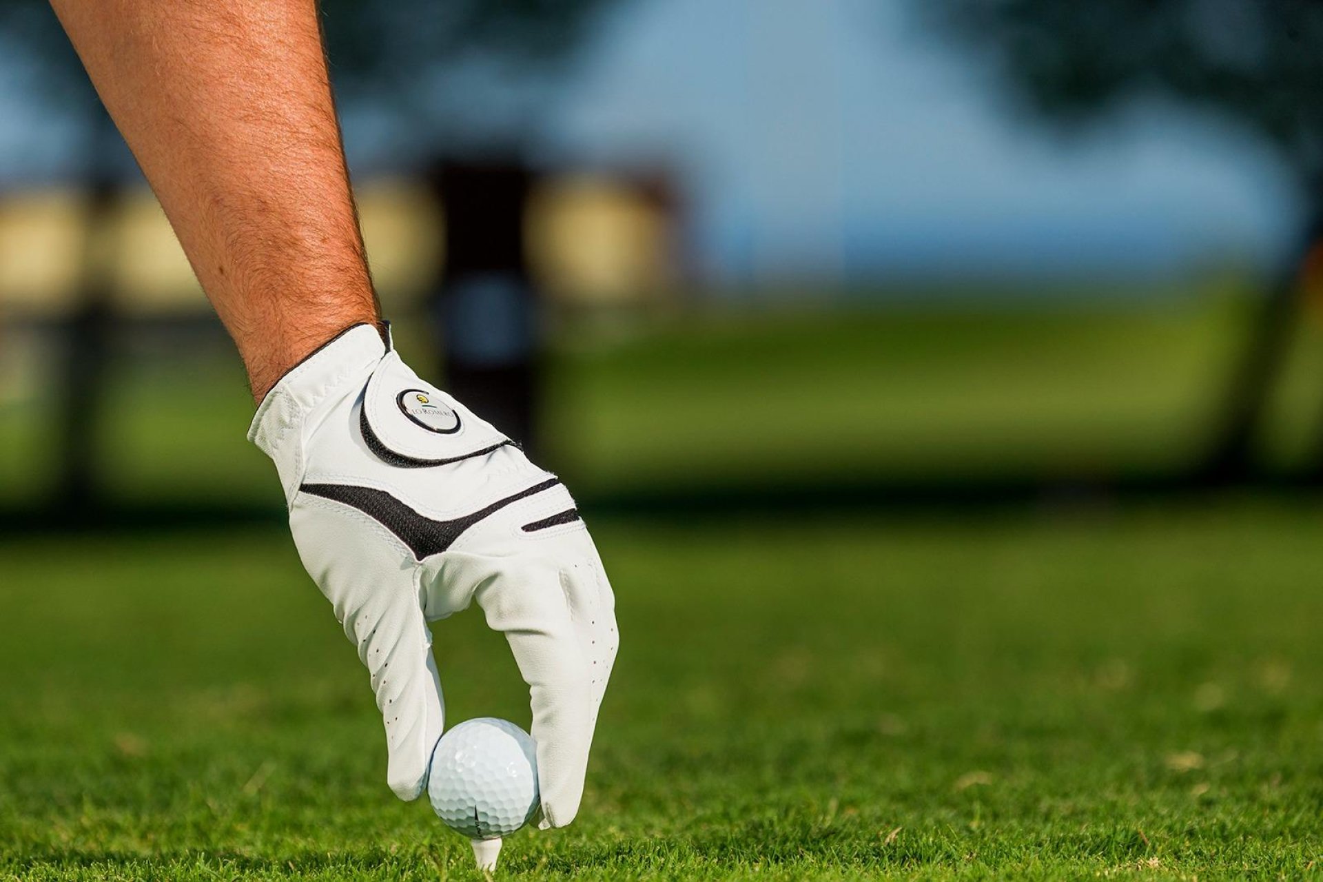 New Build - Villa - Pilar de La Horadada