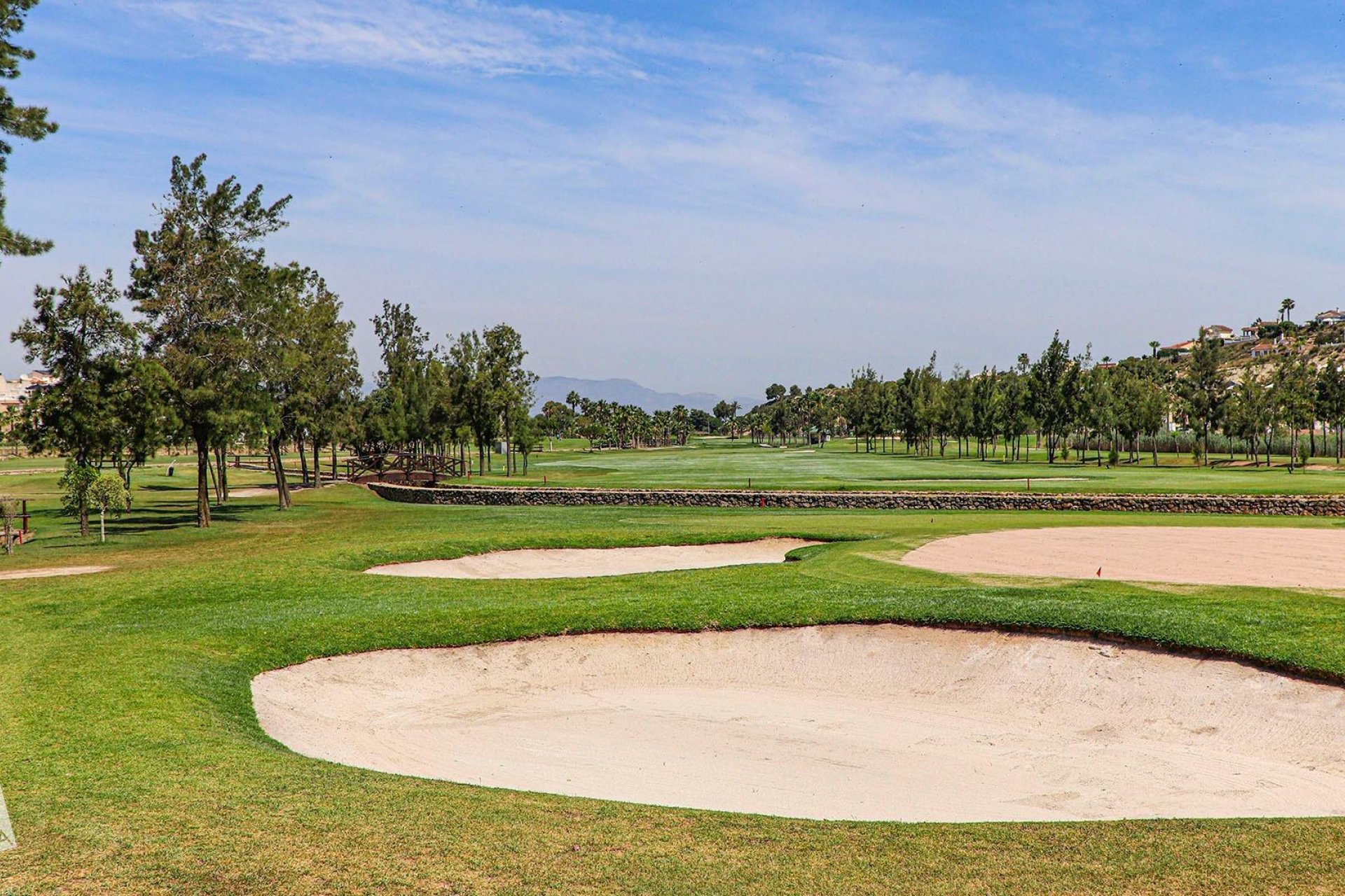 New Build - Villa - Rojales