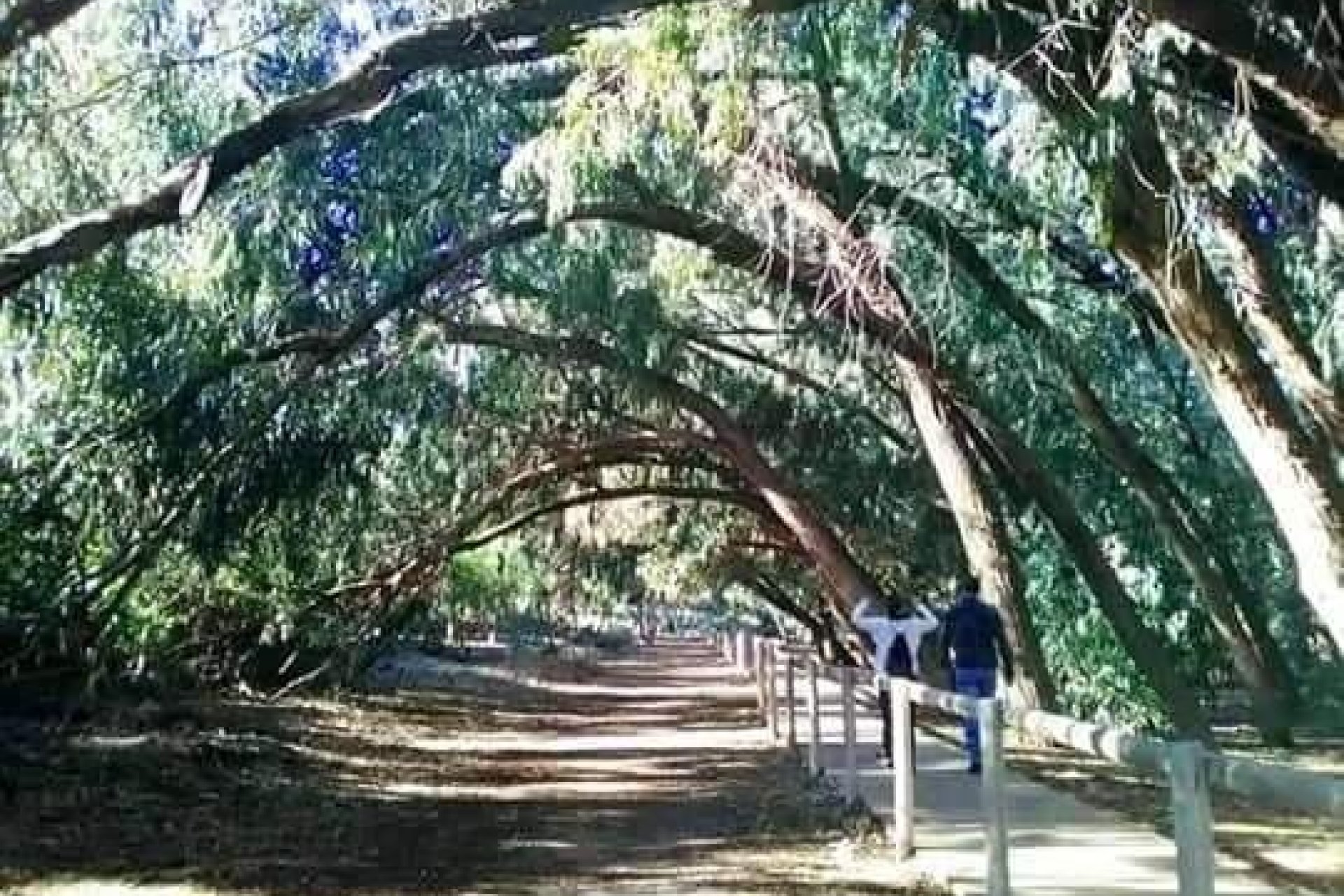 Новое здание - Бунгало - Torrevieja