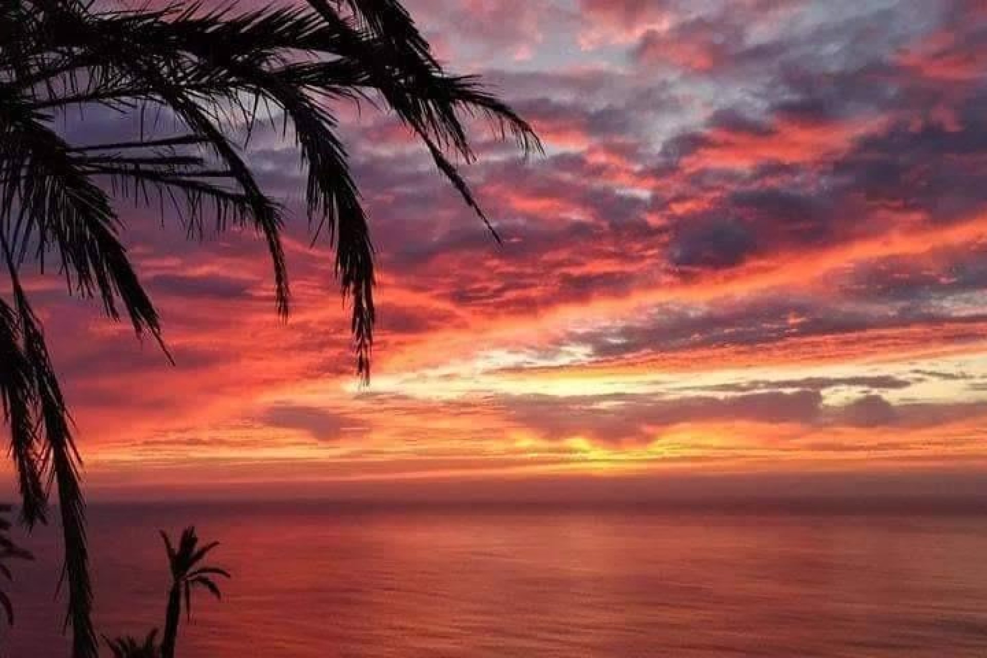 Новое здание - Бунгало - Torrevieja