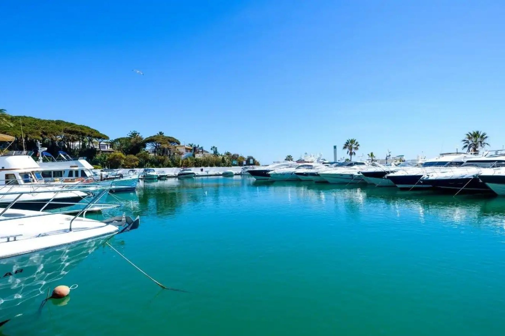 Новое здание - Квартира / квартира - Marbella