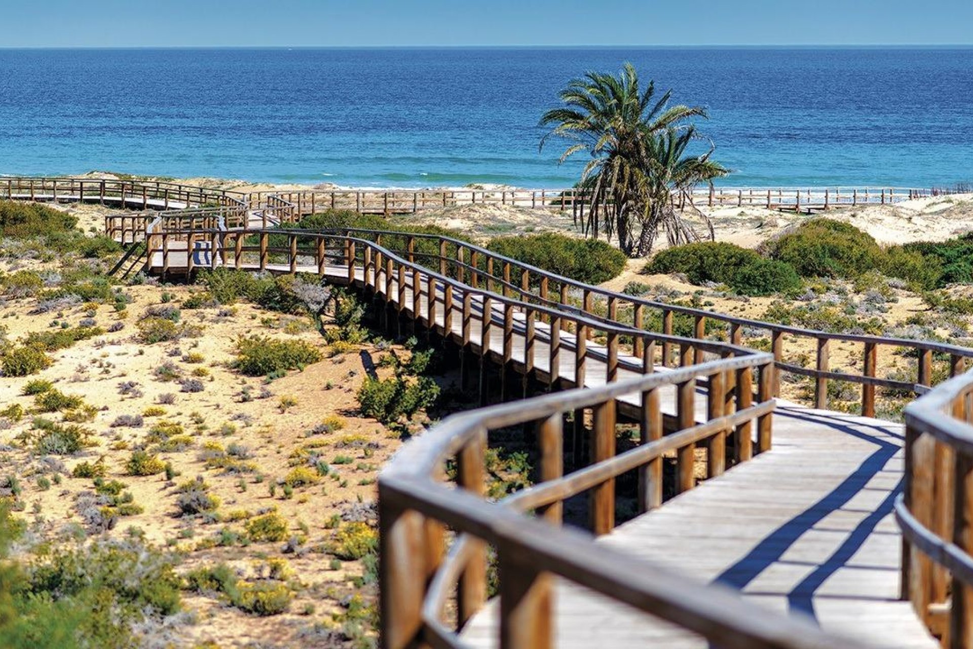 Новое здание - Квартира / квартира - Monforte del Cid