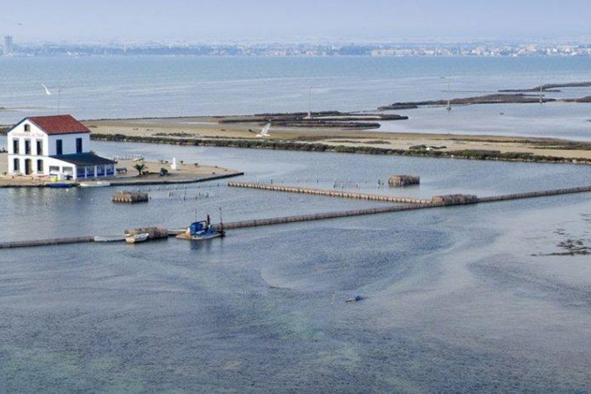 Новое здание - Квартира / квартира - San Pedro del Pinatar