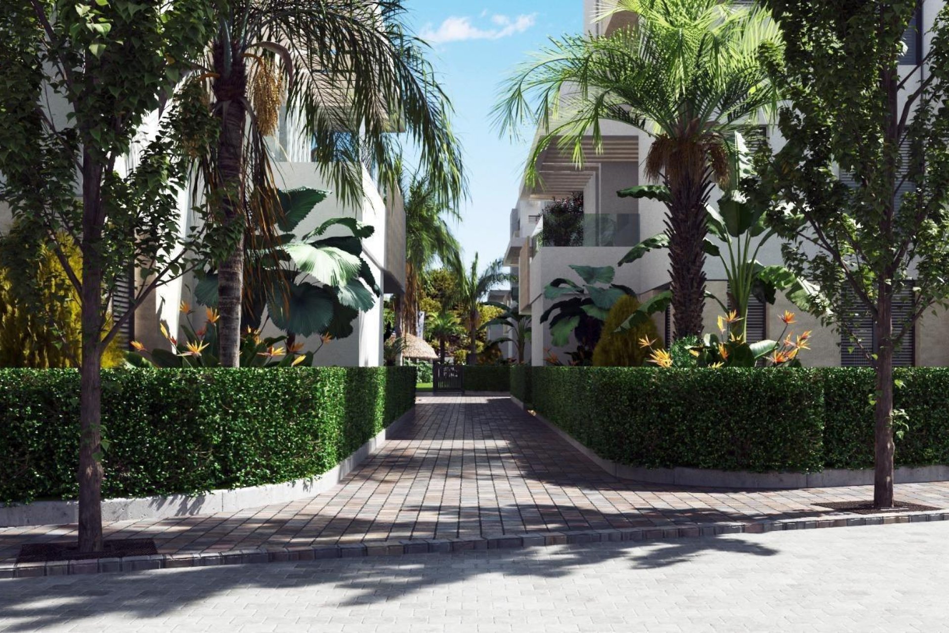 Новое здание - Квартира / квартира - Torre Pacheco