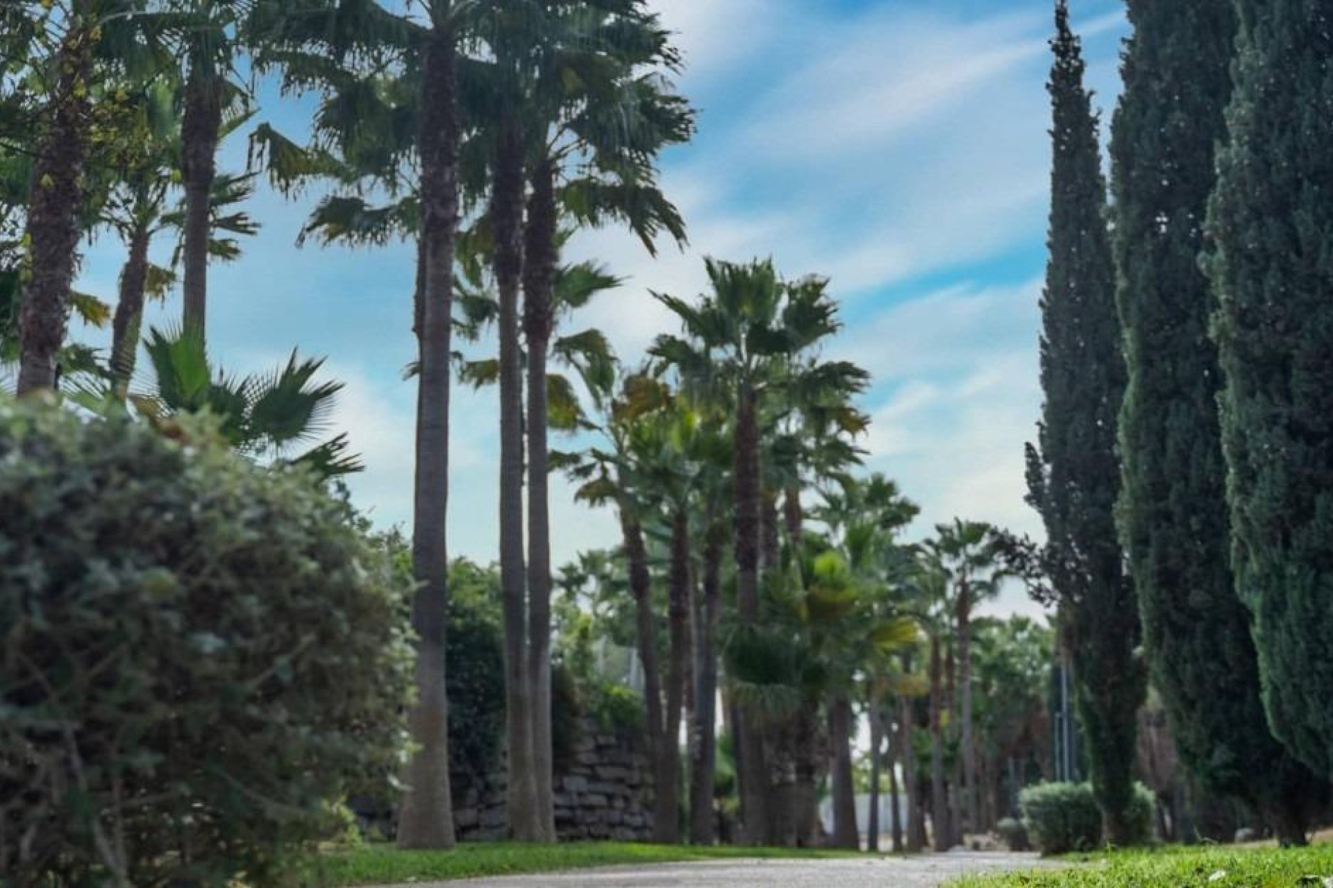 Новое здание - Пентхаус - Fuengirola