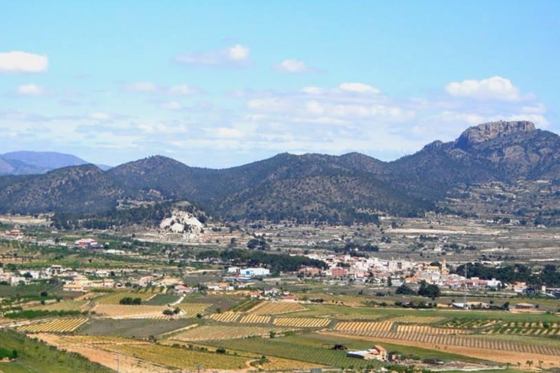 Новое здание - Villa - La Romana