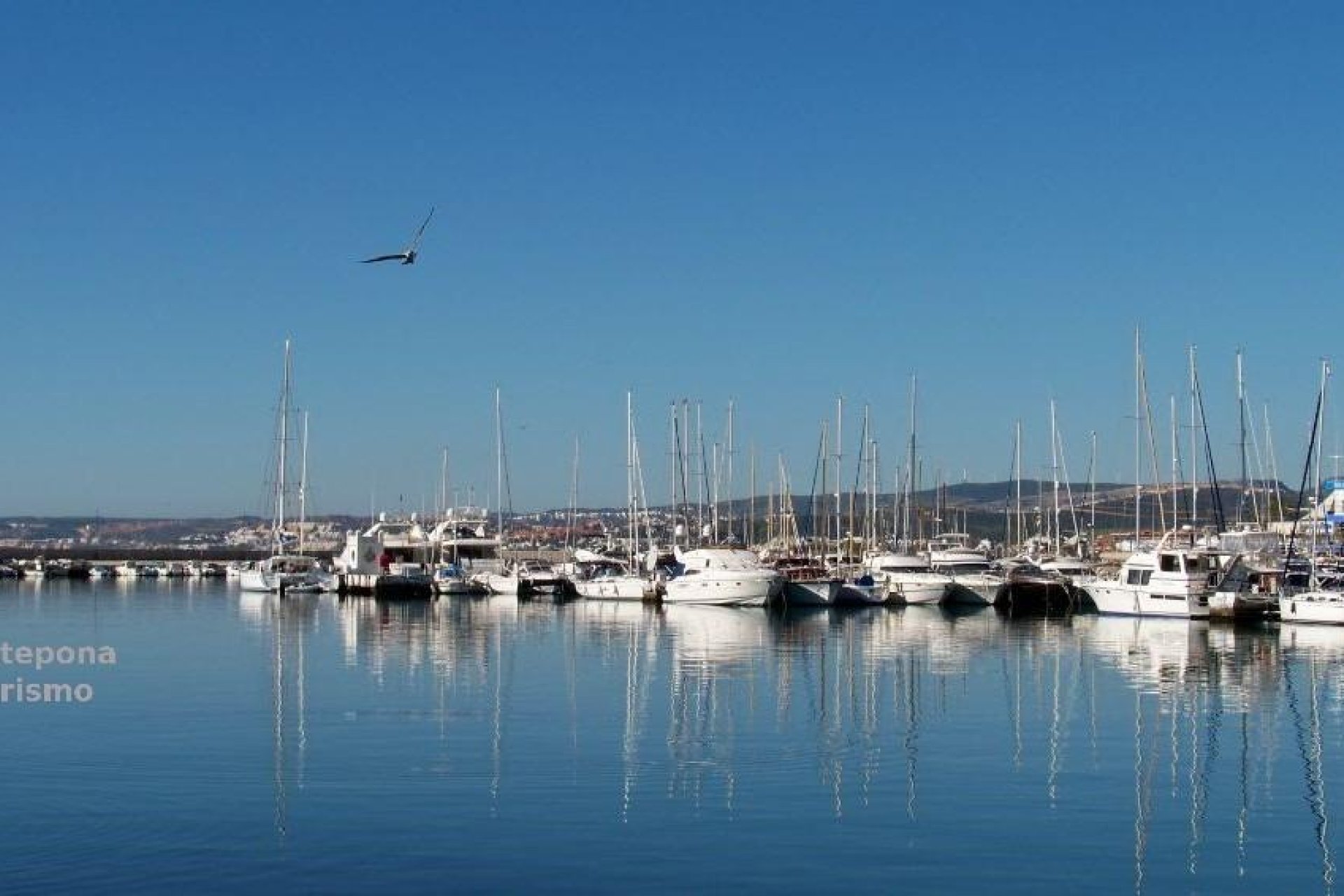 Obra nueva - Ático - Estepona