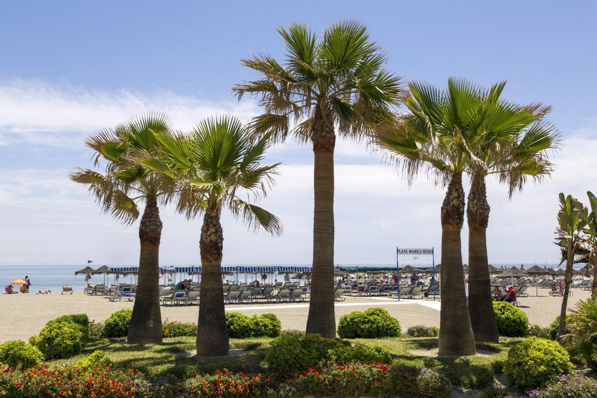 Obra nueva - Ático - Mijas