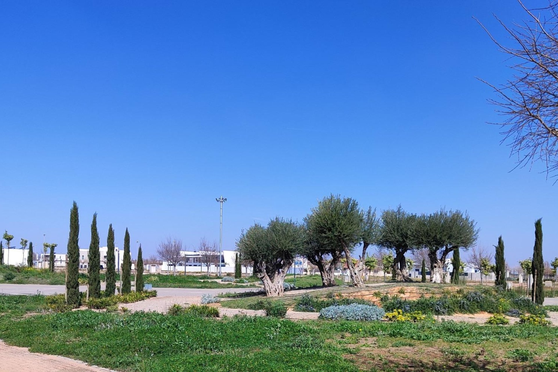 Obra nueva - Ático - Torre Pacheco - Centro