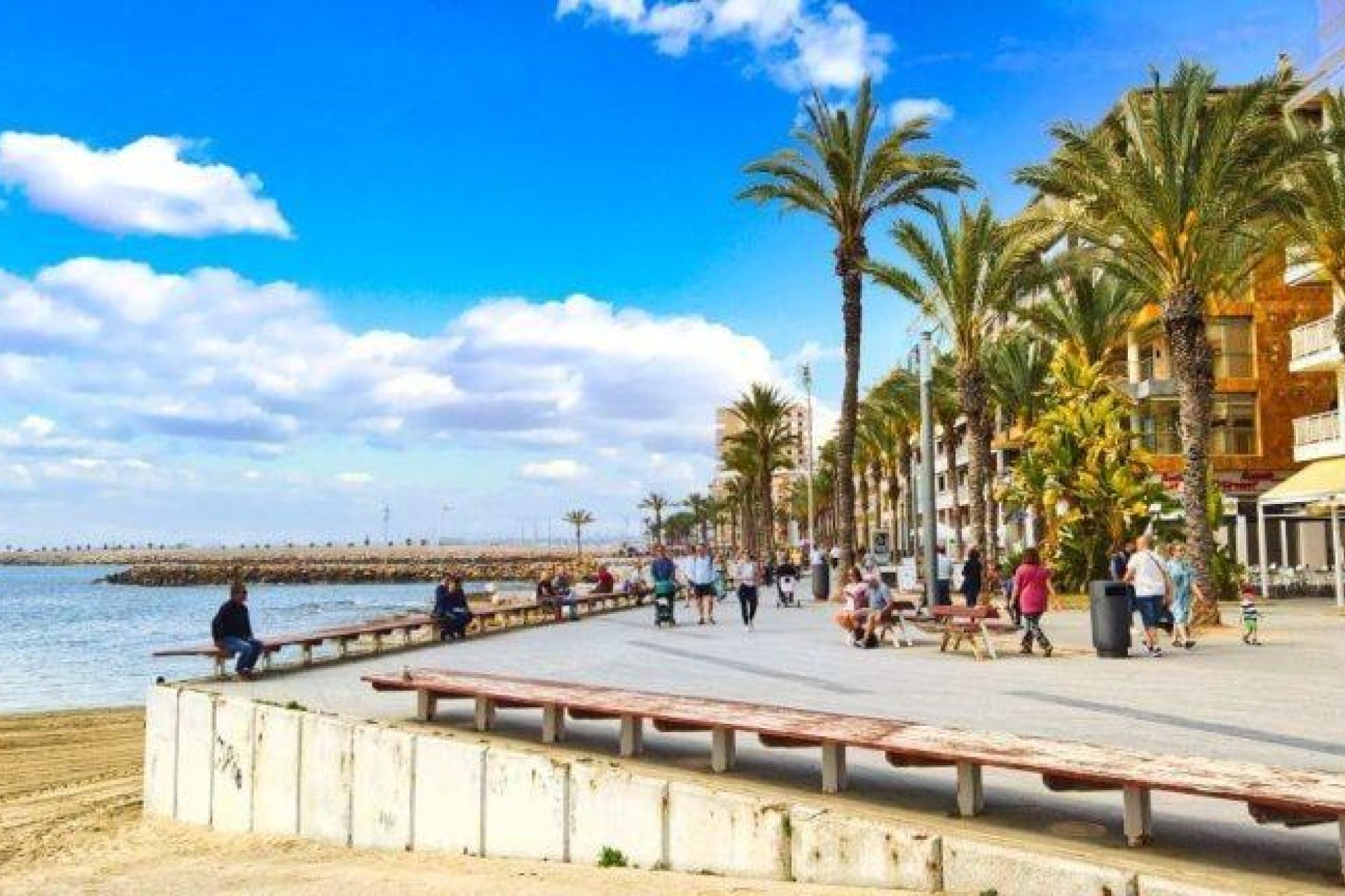 Obra nueva - Ático - Torrevieja - Playa de El Cura