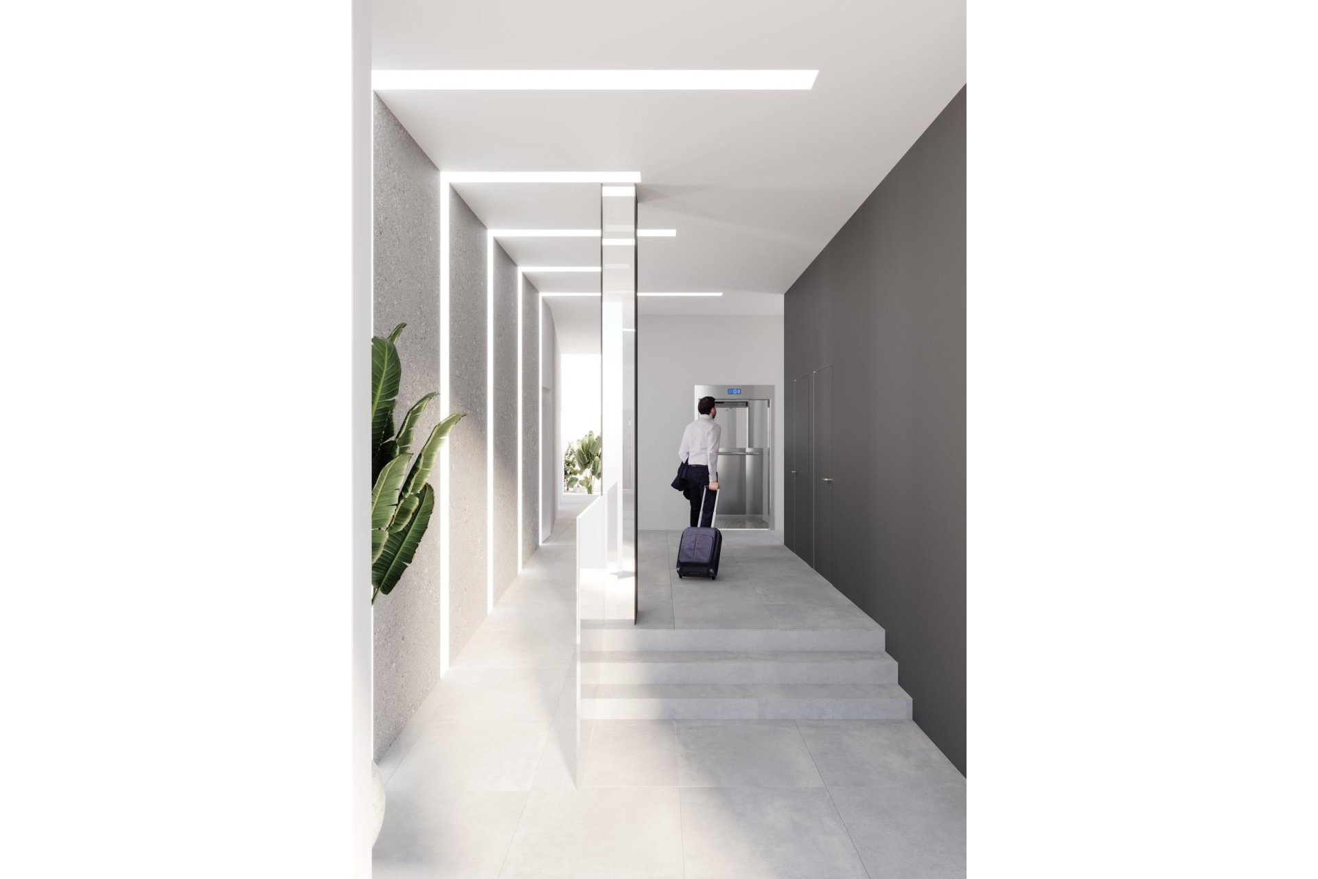 Obra nueva - Ático - Torrevieja