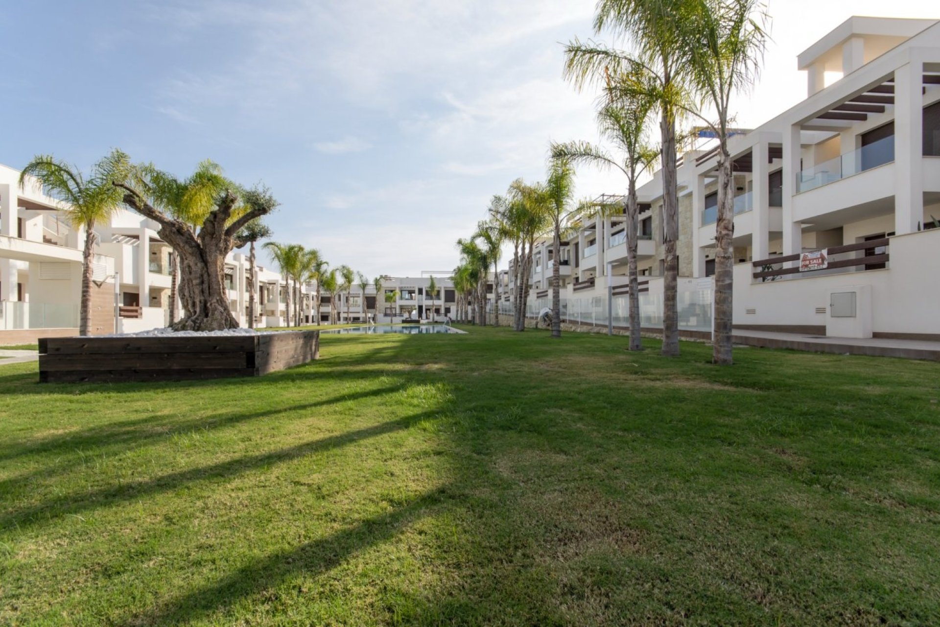 Obra nueva - Bungalow - Torrevieja
