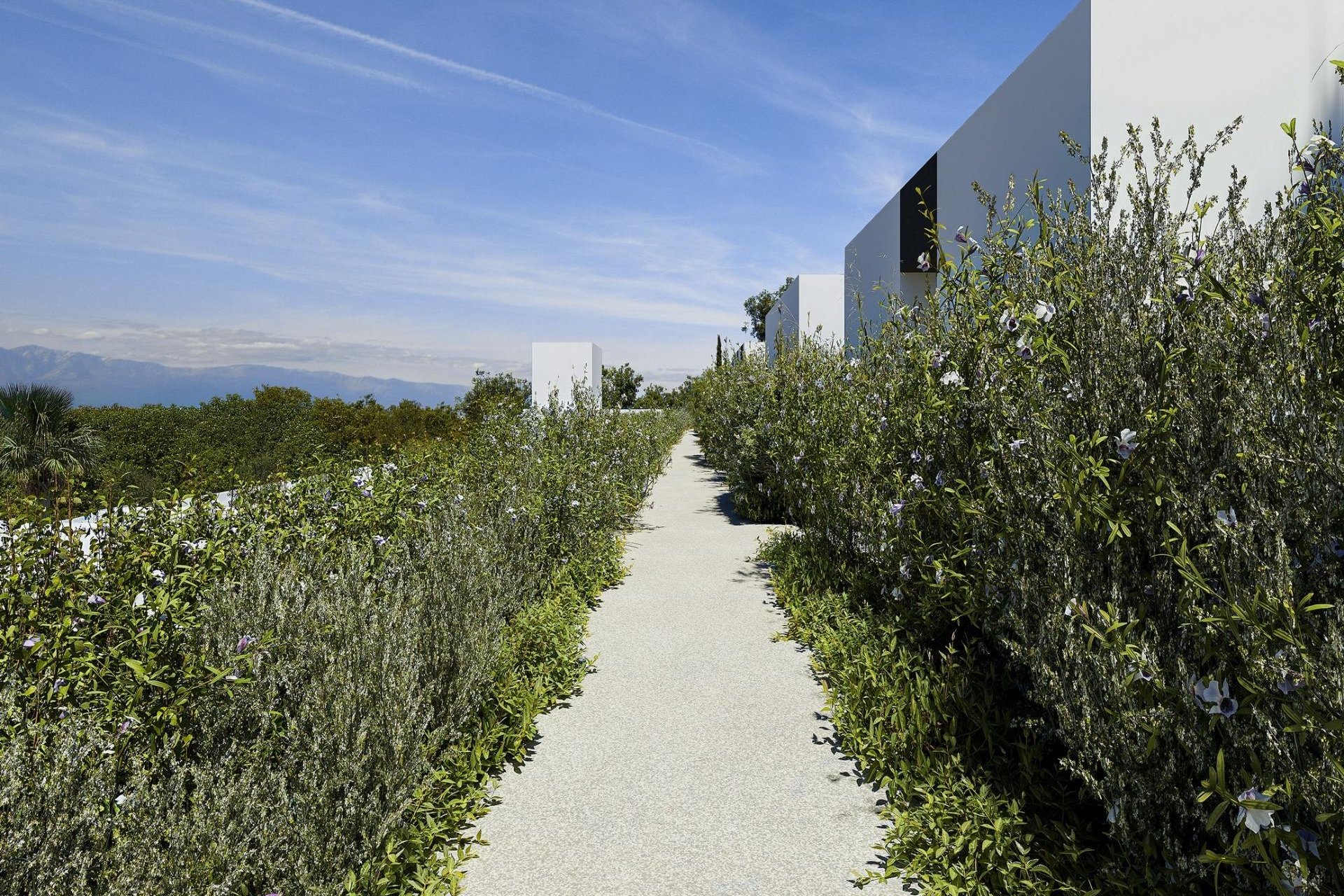 Obra nueva - Villa - Alfas del Pí - Alfas del Pi