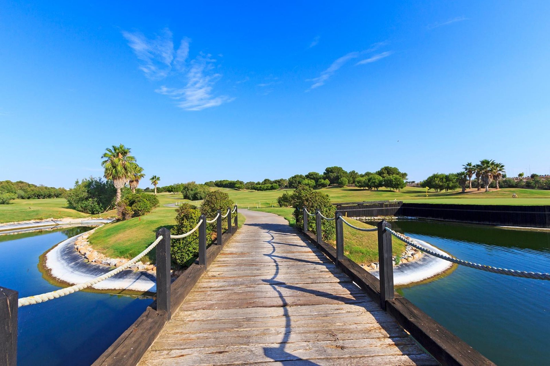 Obra nueva - Villa - Pilar de la Horadada - Lo Romero Golf