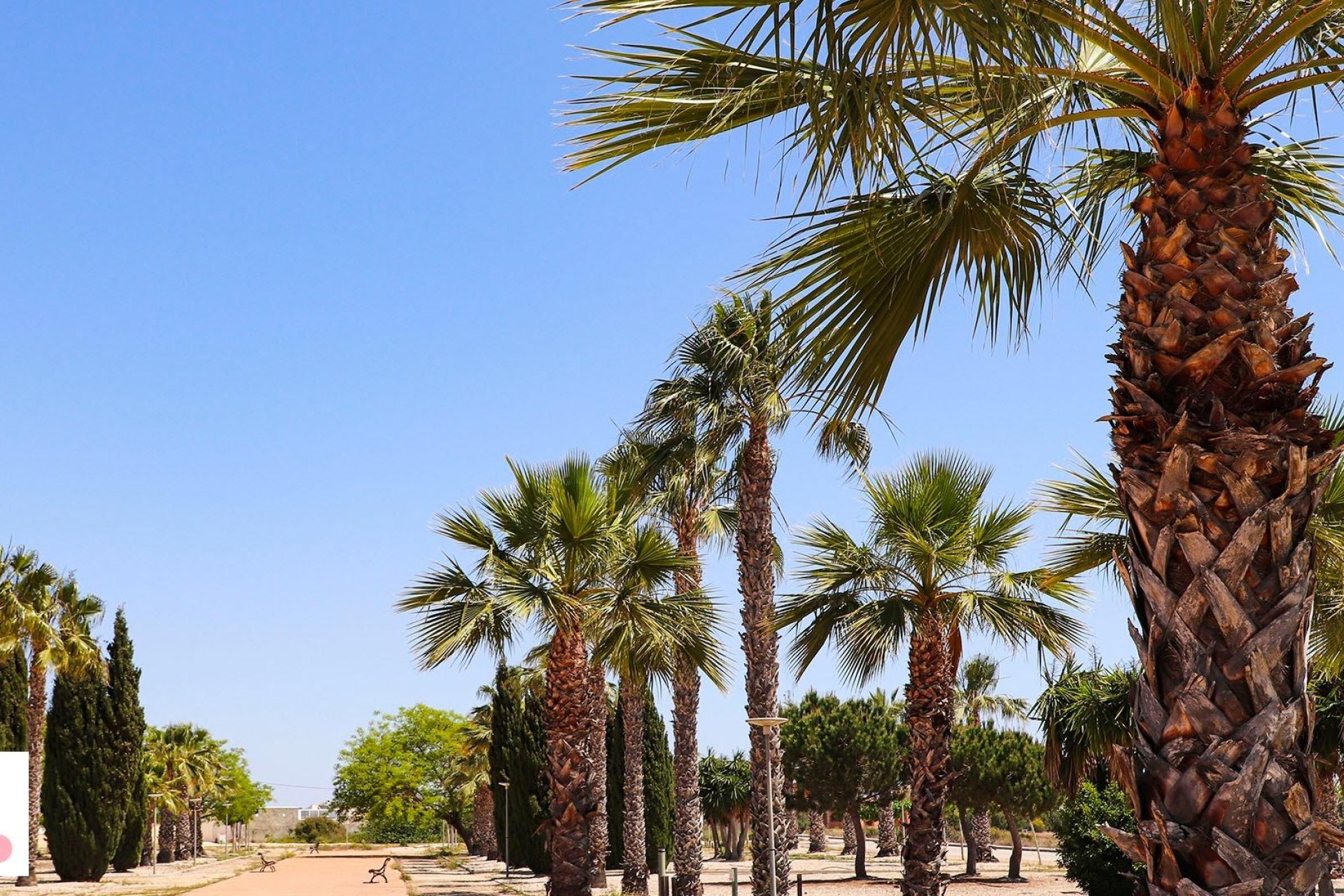 Obra nueva - Villa - San Fulgencio