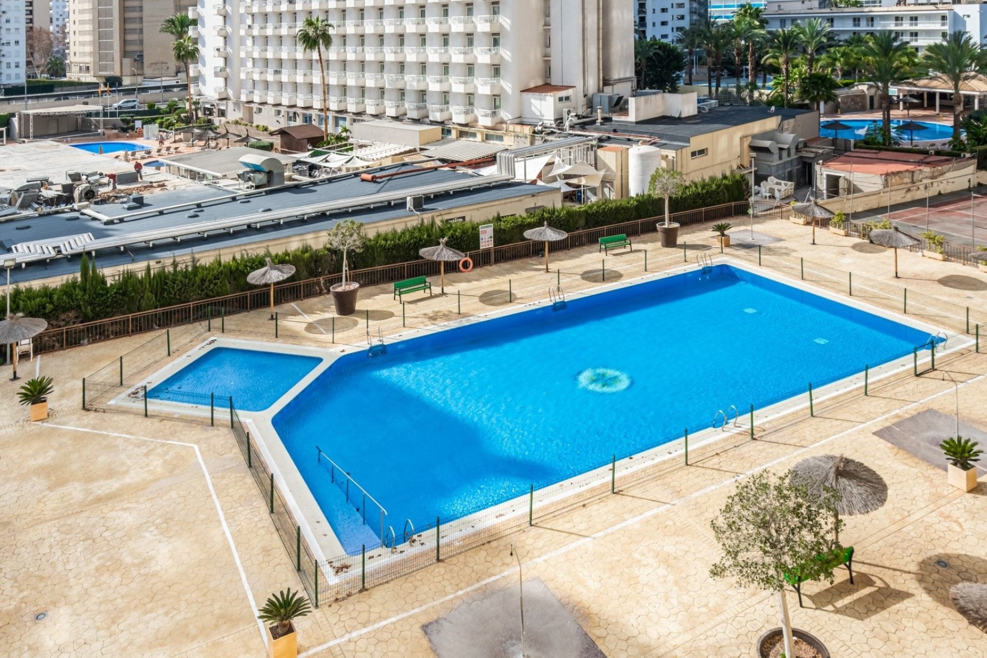 Piscina - Estudio TIPO E con vistas al mar y licencia turística en Benidorm - Levante (Costa Blanca - Alicante)