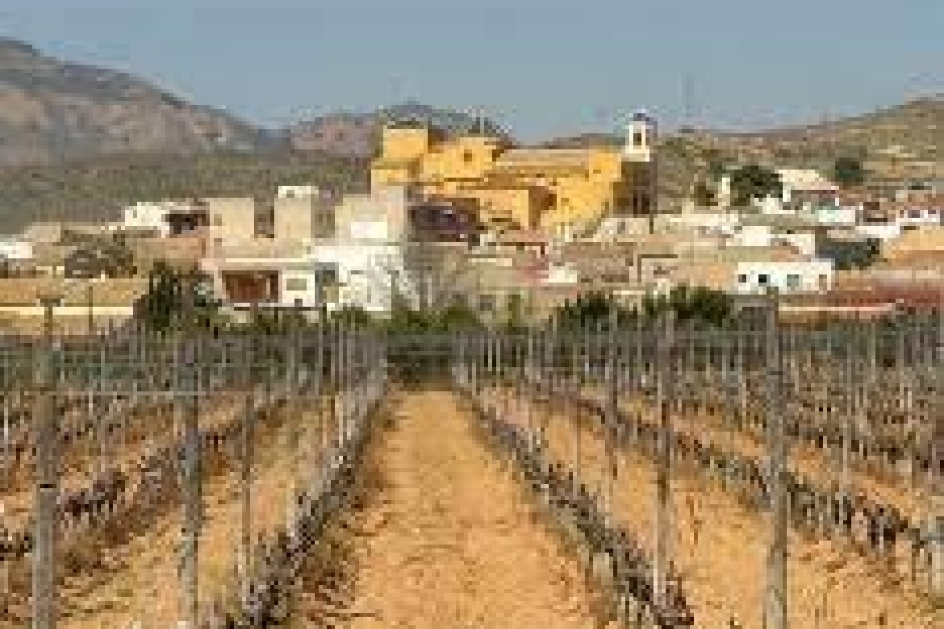 Rynek Pierwotny - Bungalow - Hondón de las Nieves