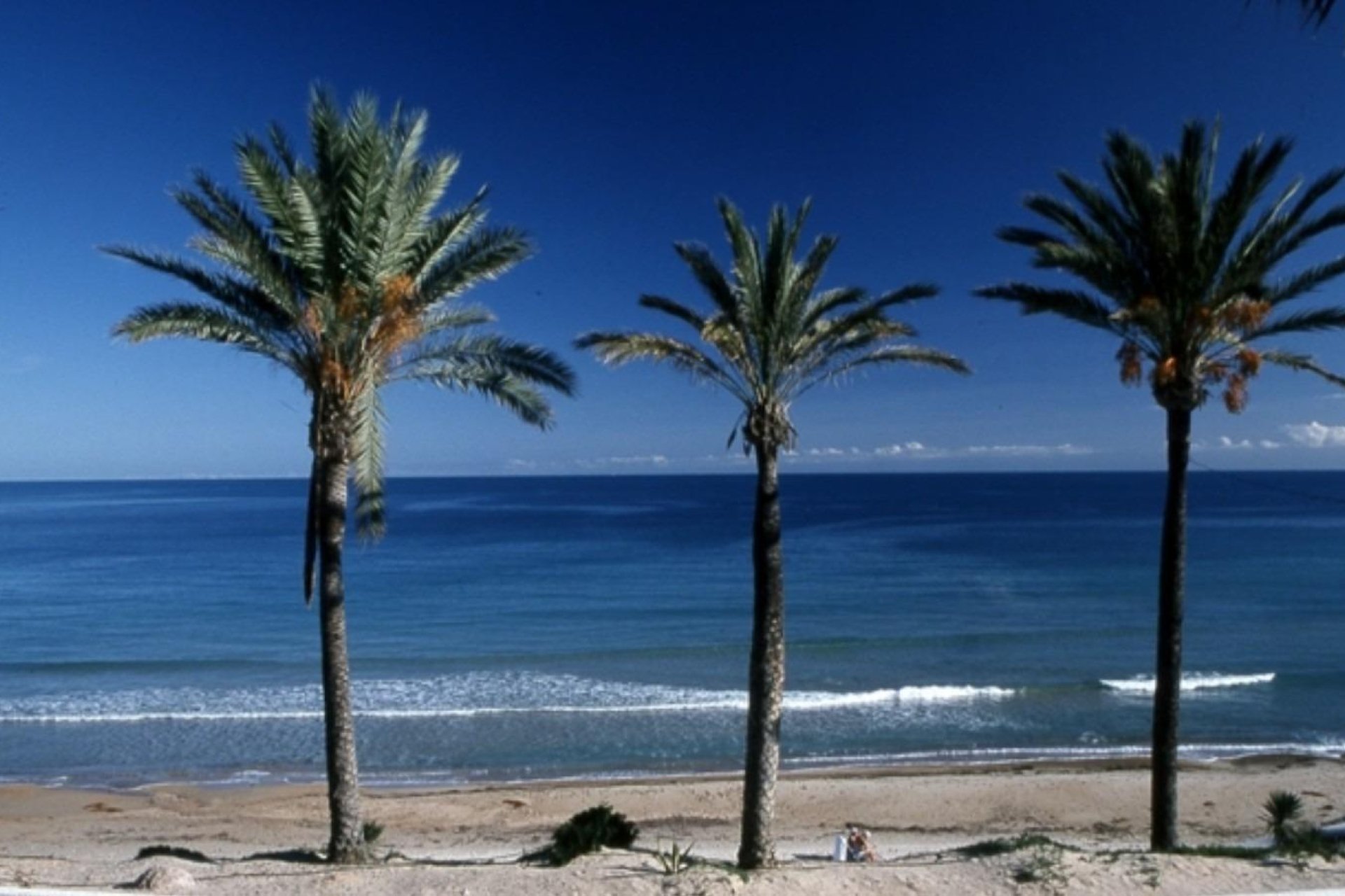 Rynek Pierwotny - Bungalow - Pilar de La Horadada