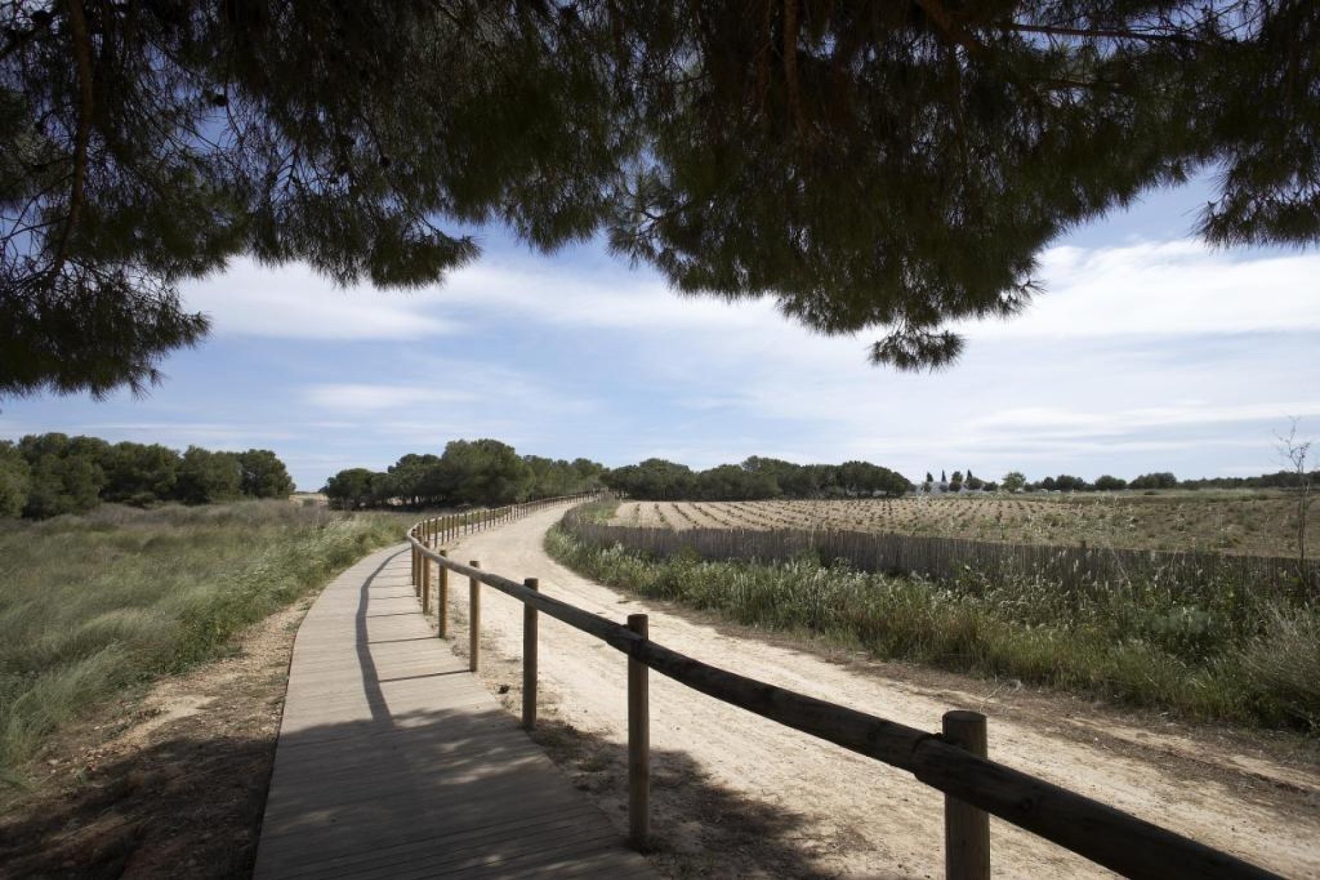 Rynek Pierwotny - Bungalow - Torrevieja - Altos del Sol