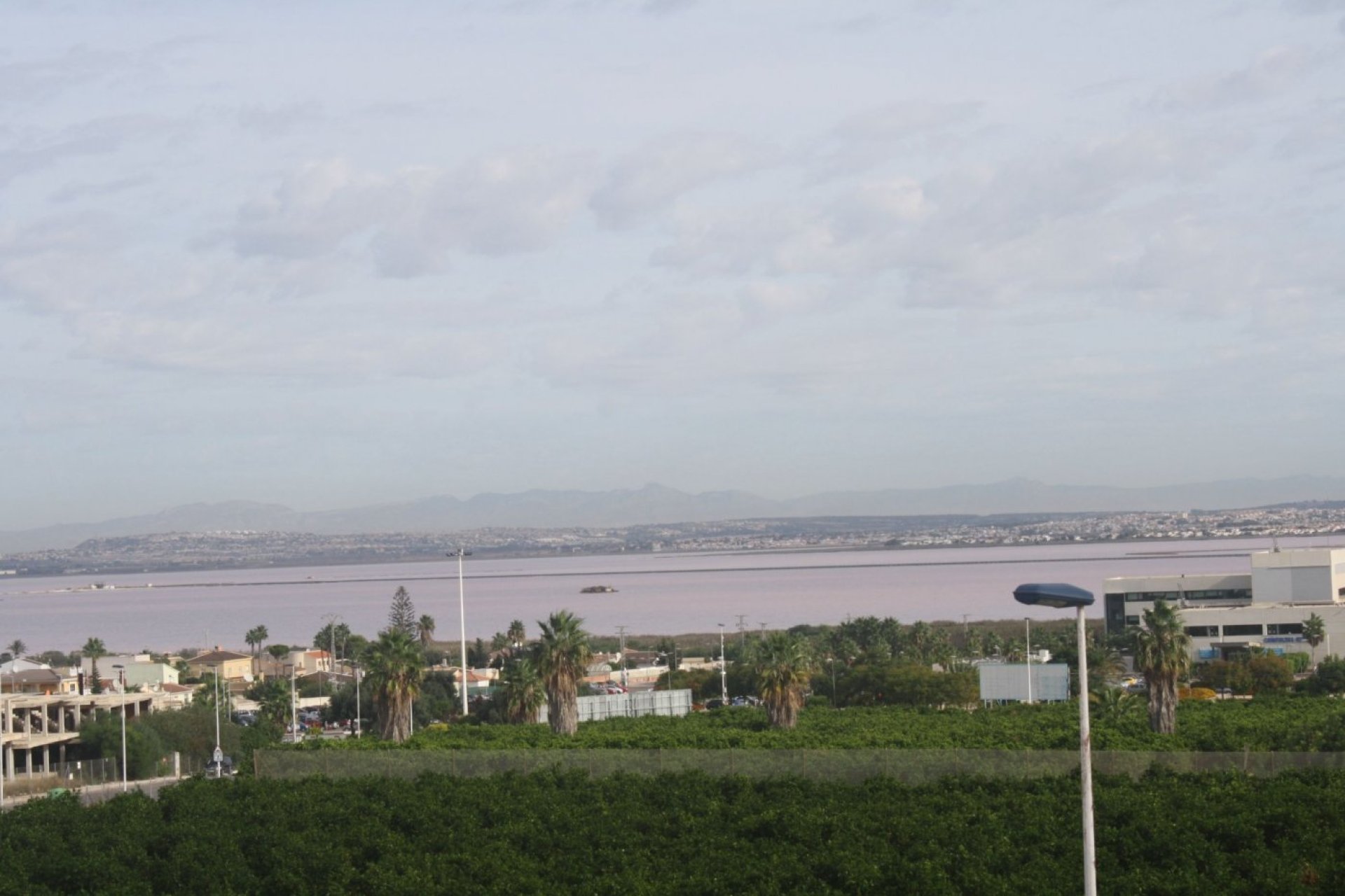 Rynek Pierwotny - Kamienica - Torrevieja - Los Altos