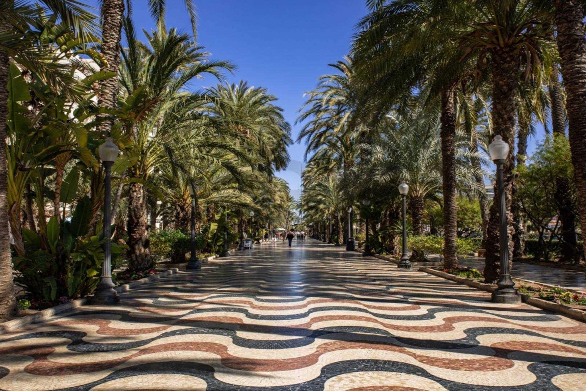 Rynek Pierwotny - Mieszkanie w bloku - Alicante - Centro