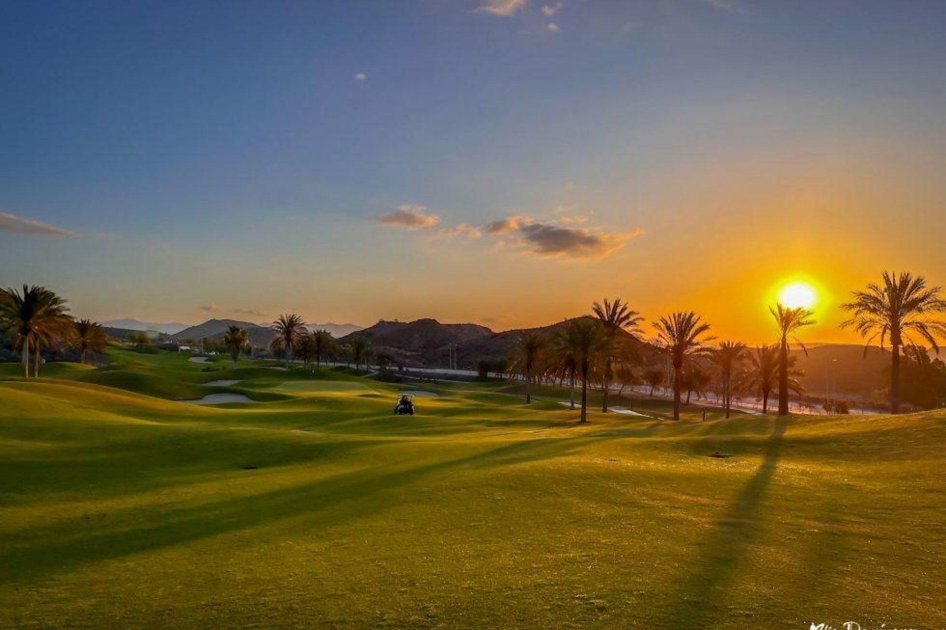 Rynek Pierwotny - Mieszkanie w bloku - Pulpi
