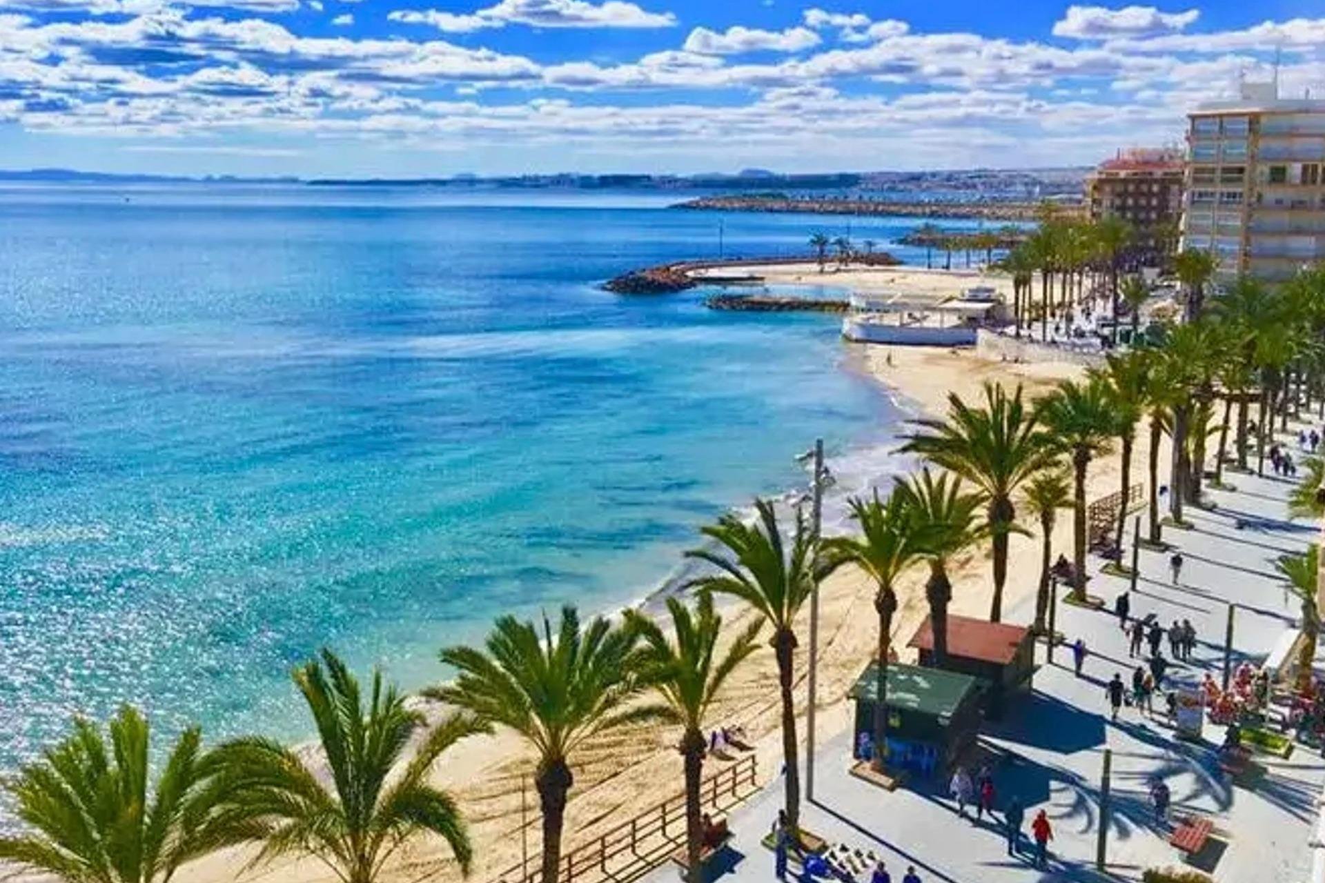 Rynek Pierwotny - Mieszkanie w bloku - Torrevieja - Playa de El Cura