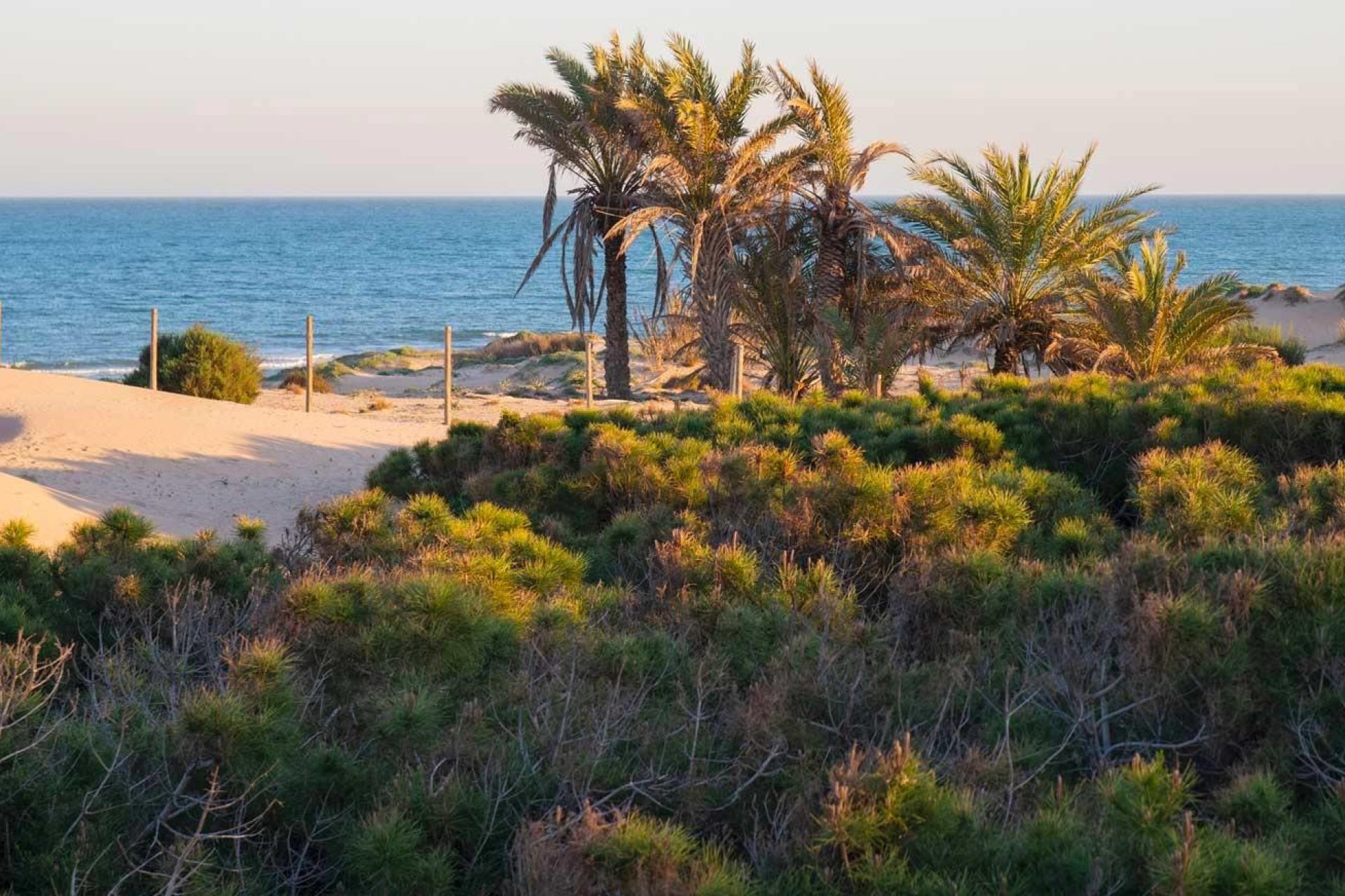 Rynek Pierwotny - Penthouse - Guardamar del Segura