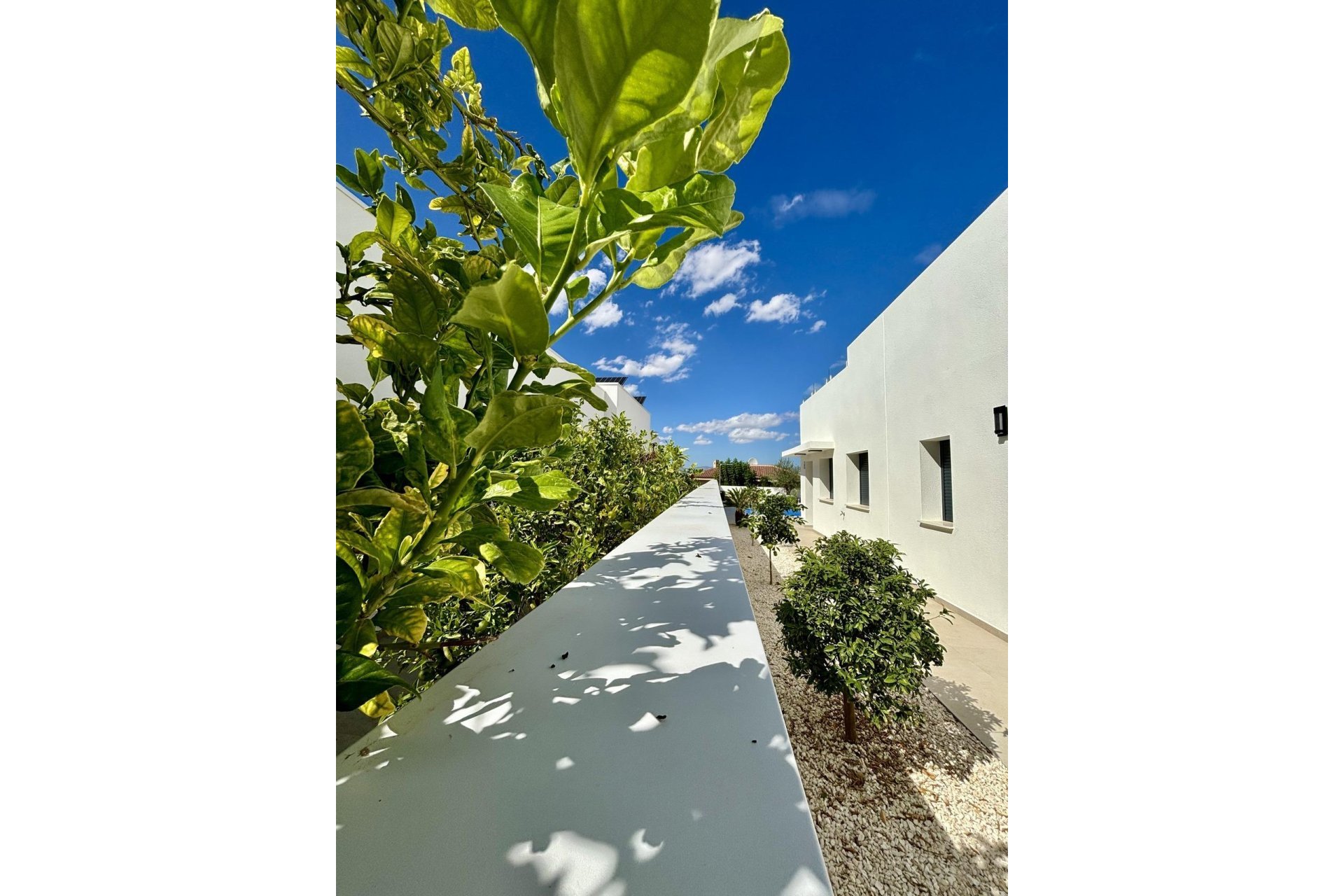 Rynek Pierwotny - Villa - Benijofar